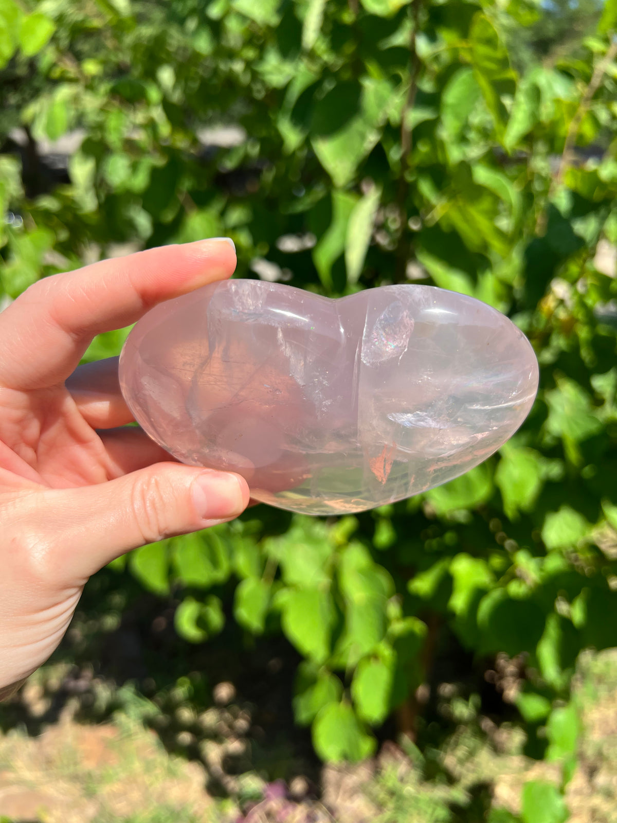 Rose Quartz Hearts with Asterisms