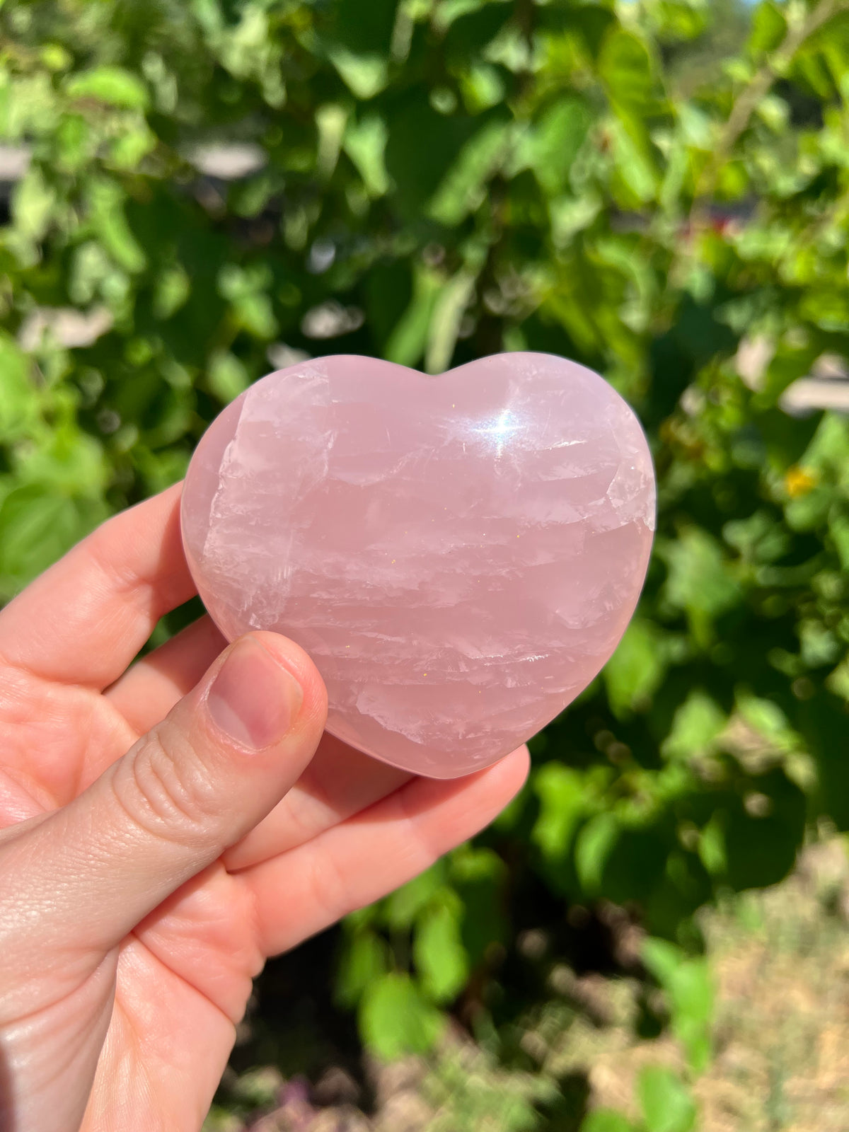 Rose Quartz Hearts with Asterisms