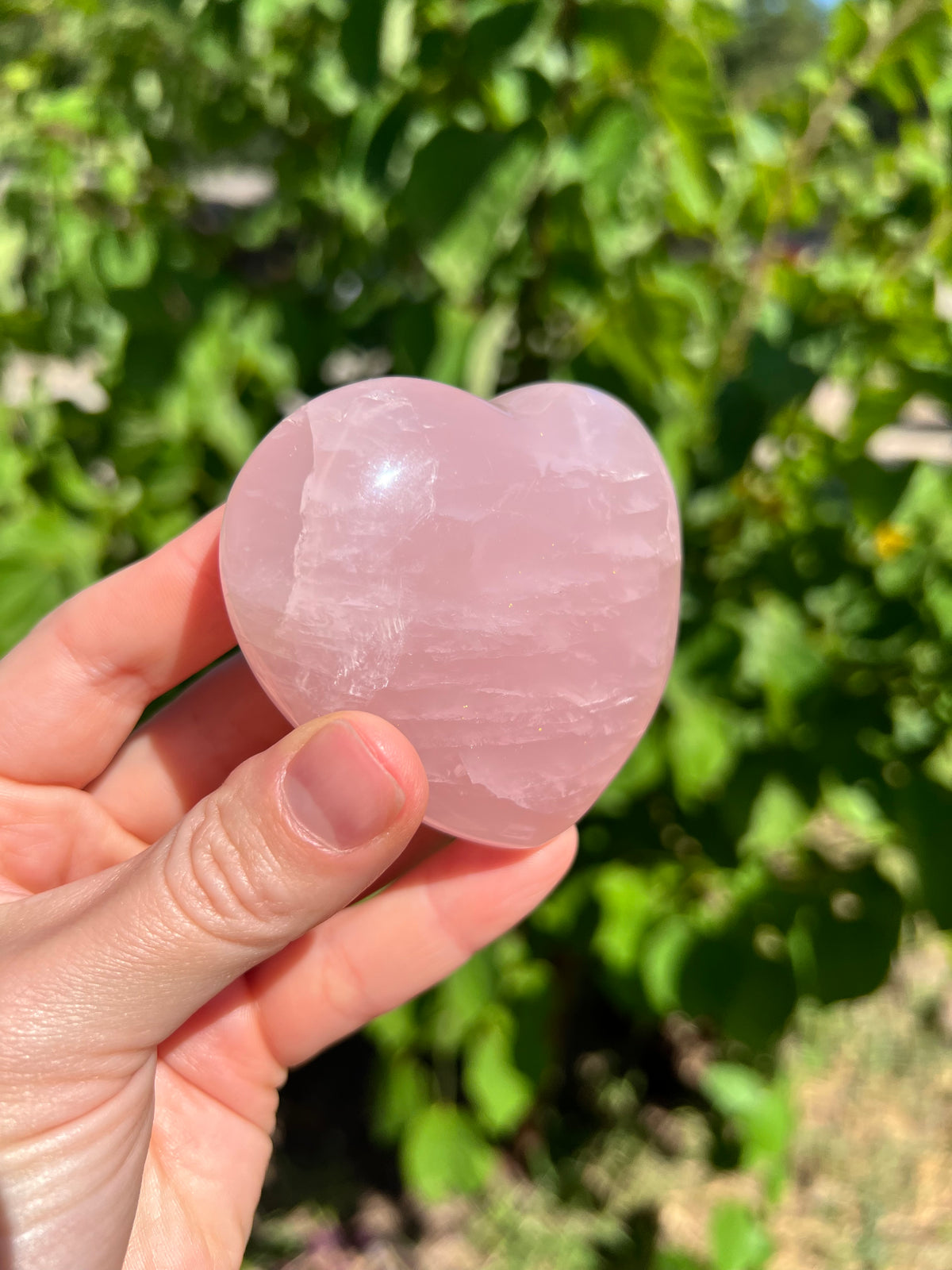 Rose Quartz Hearts with Asterisms