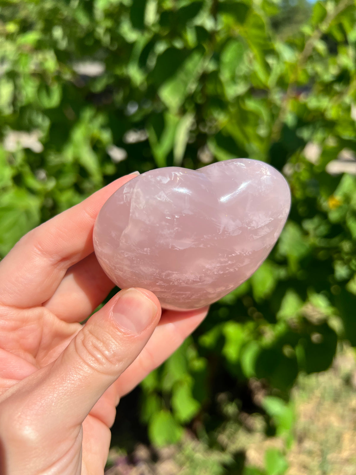 Rose Quartz Hearts with Asterisms