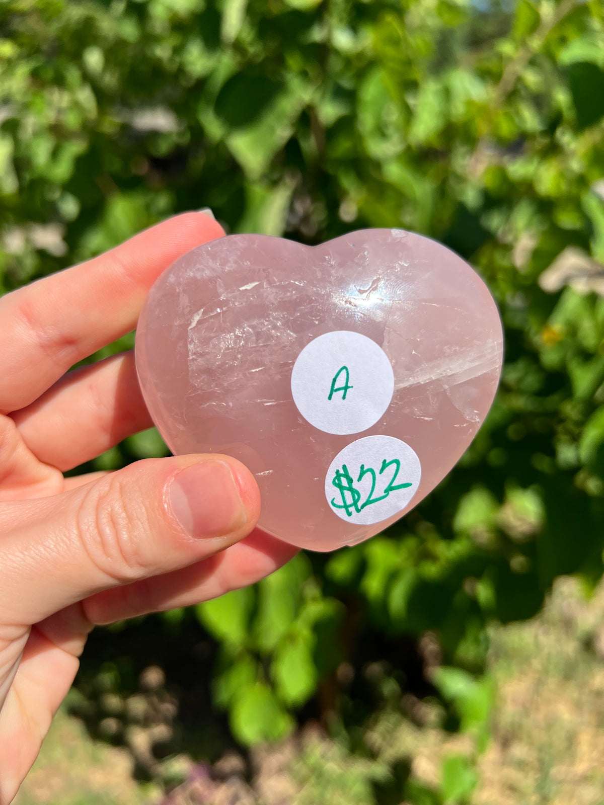 Rose Quartz Hearts with Asterisms