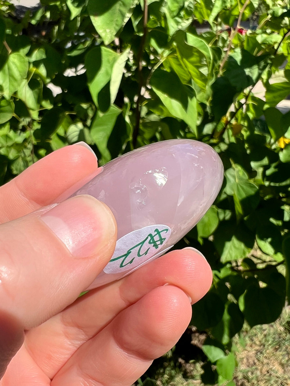 Rose Quartz Hearts with Asterisms