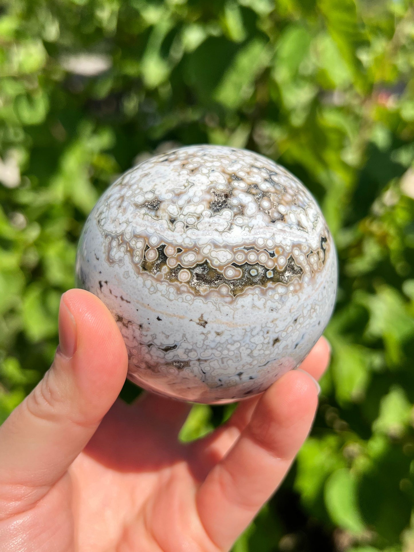 Sea Jasper Spheres