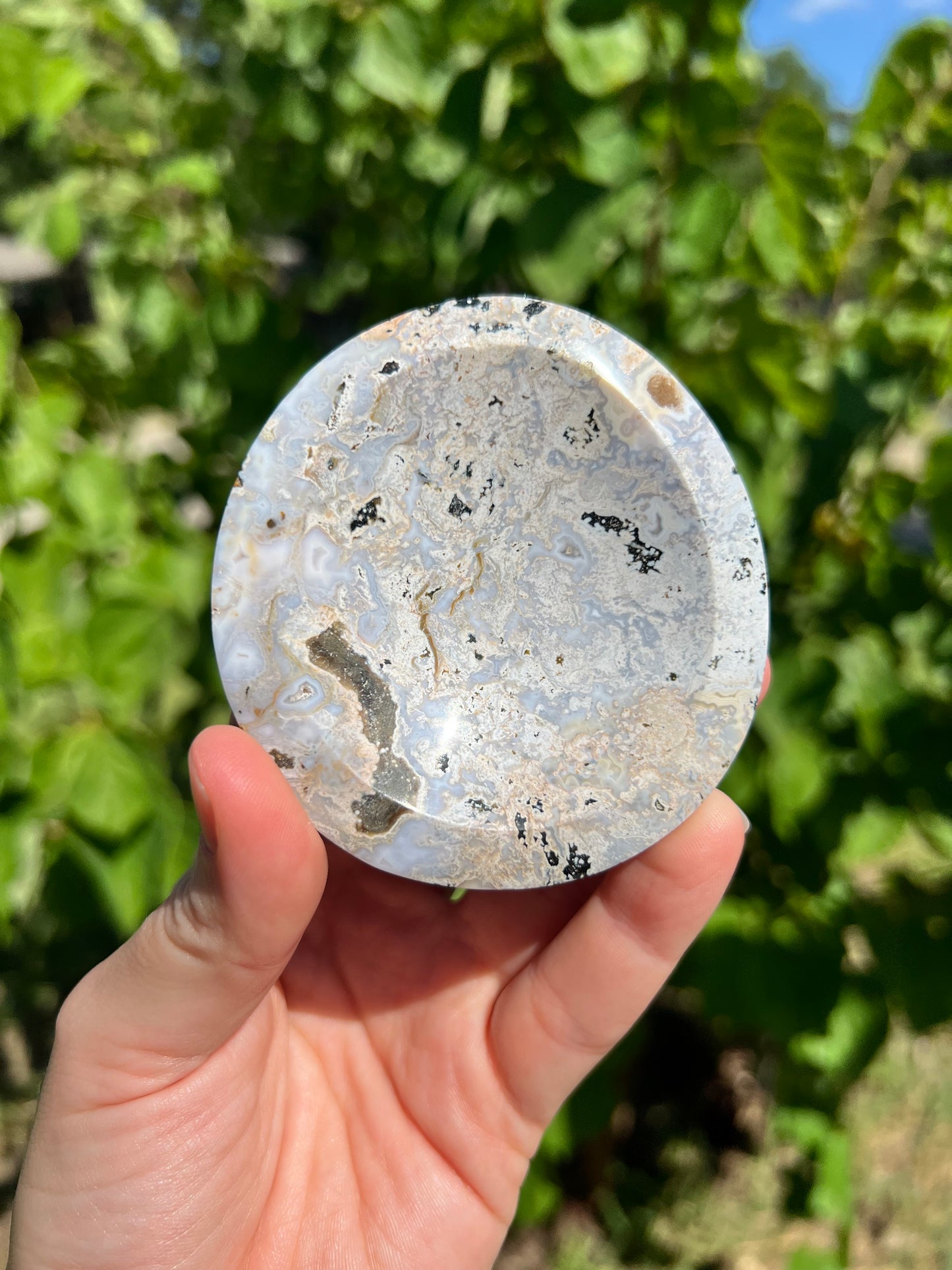 Sea Jasper Bowls