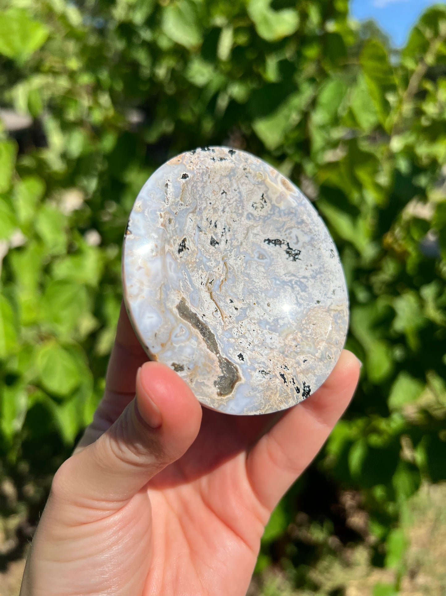 Sea Jasper Bowls
