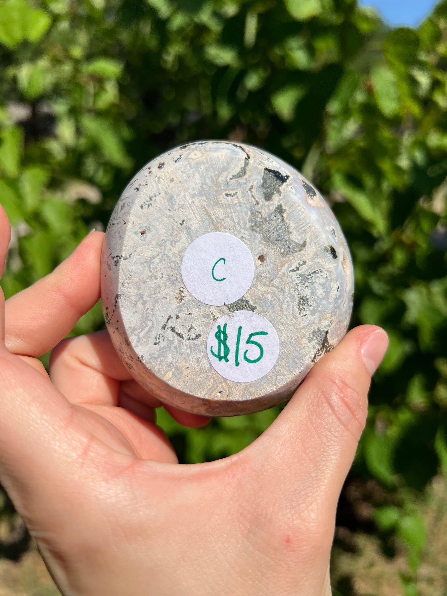 Sea Jasper Bowls