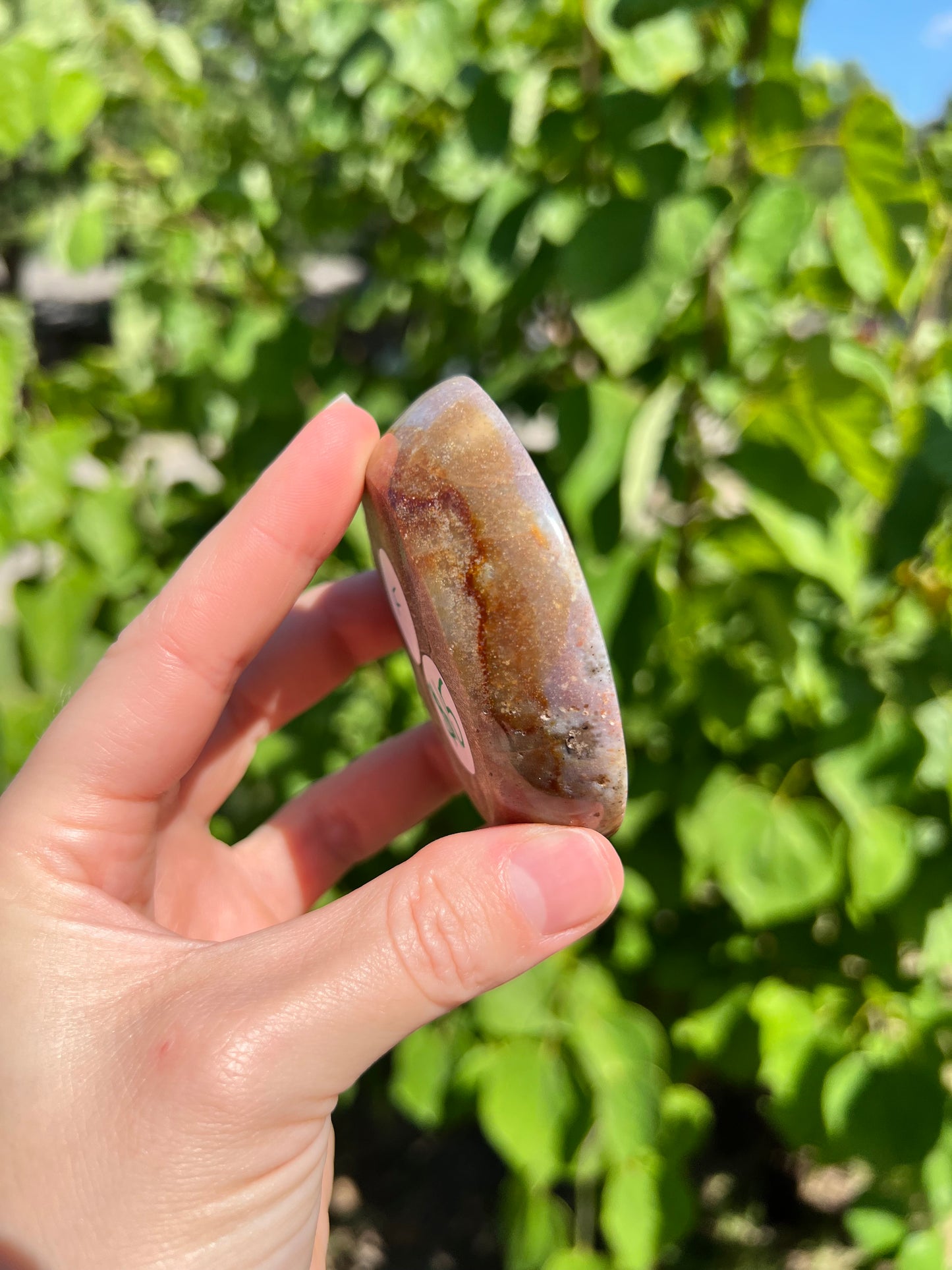Sea Jasper Bowls