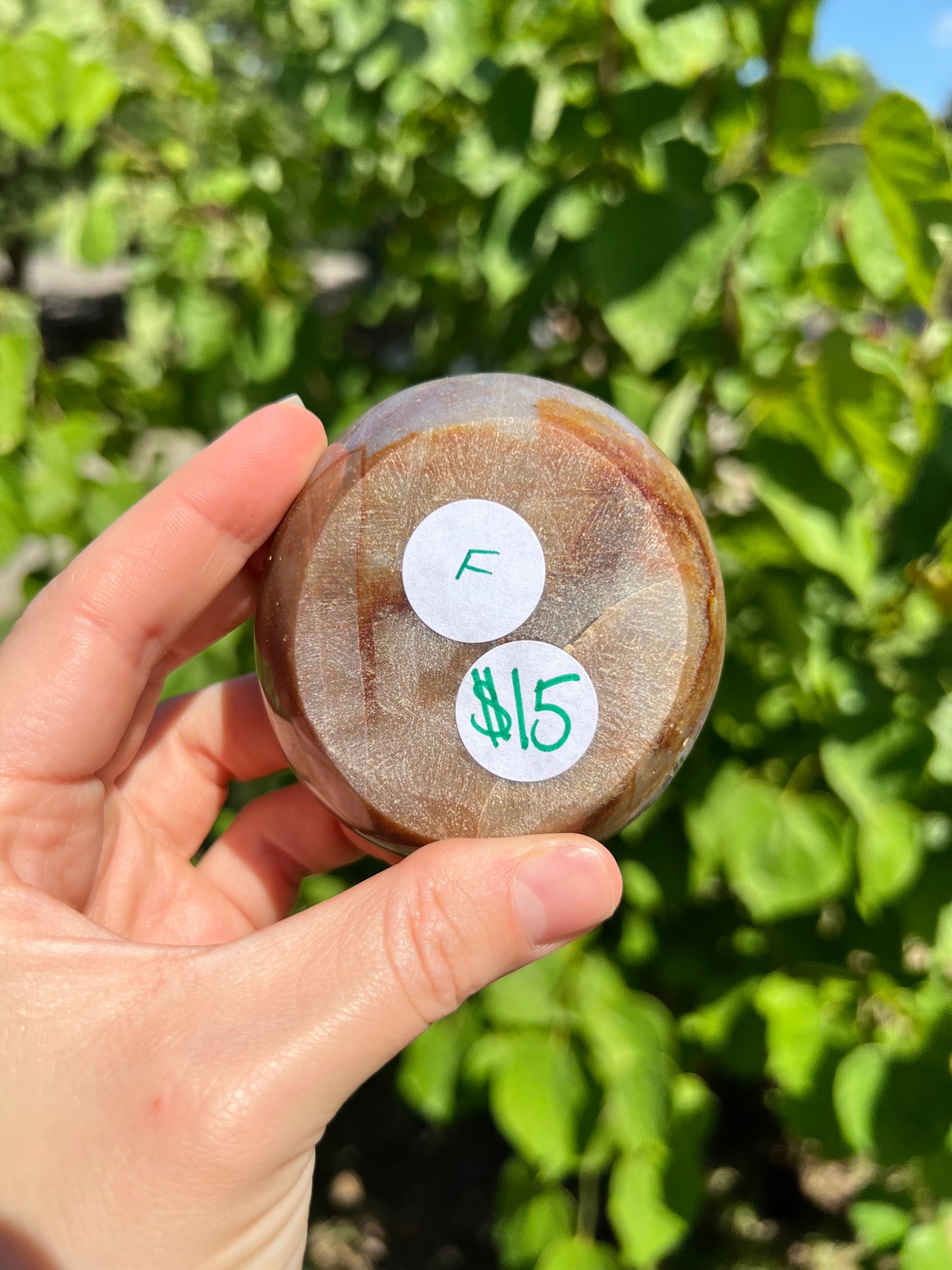Sea Jasper Bowls