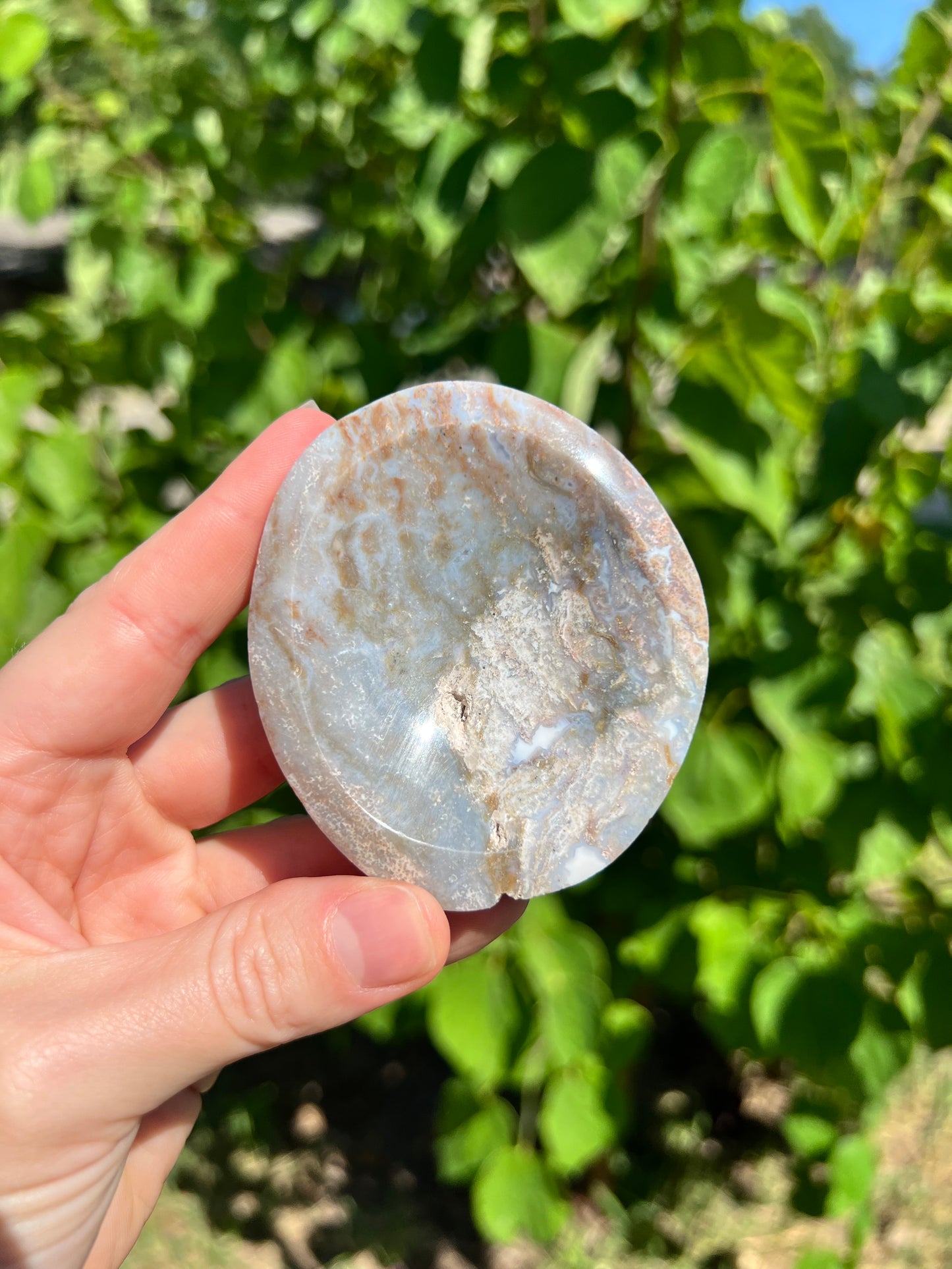 Sea Jasper Bowls