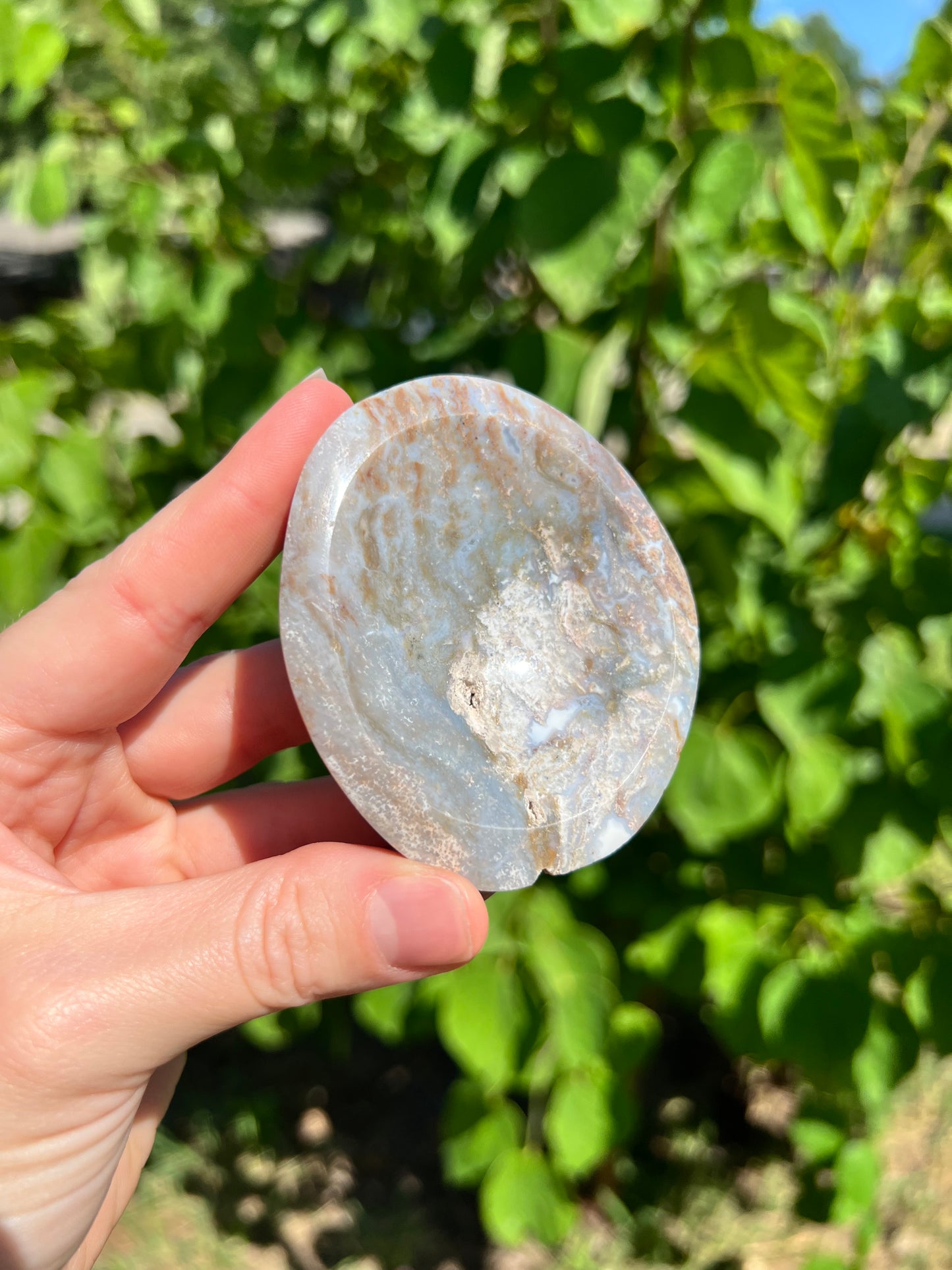 Sea Jasper Bowls