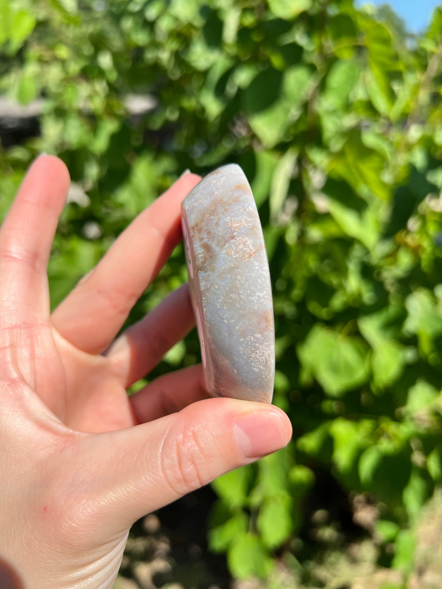 Sea Jasper Bowls