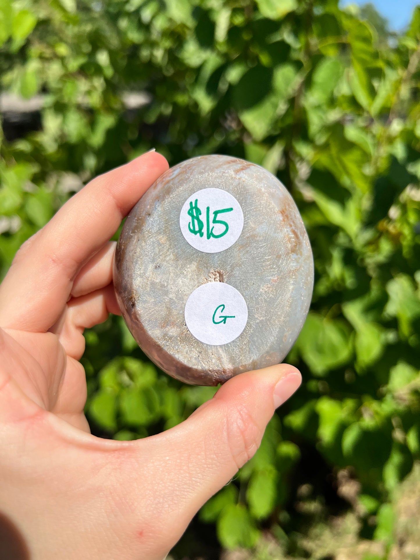 Sea Jasper Bowls