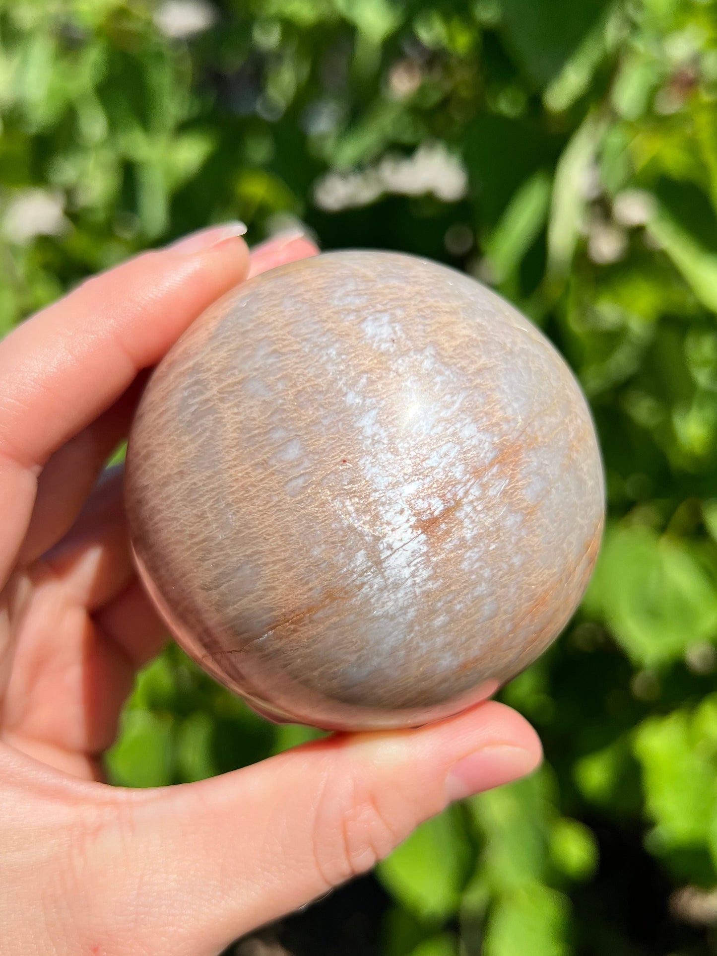 Peach Moonstone Spheres