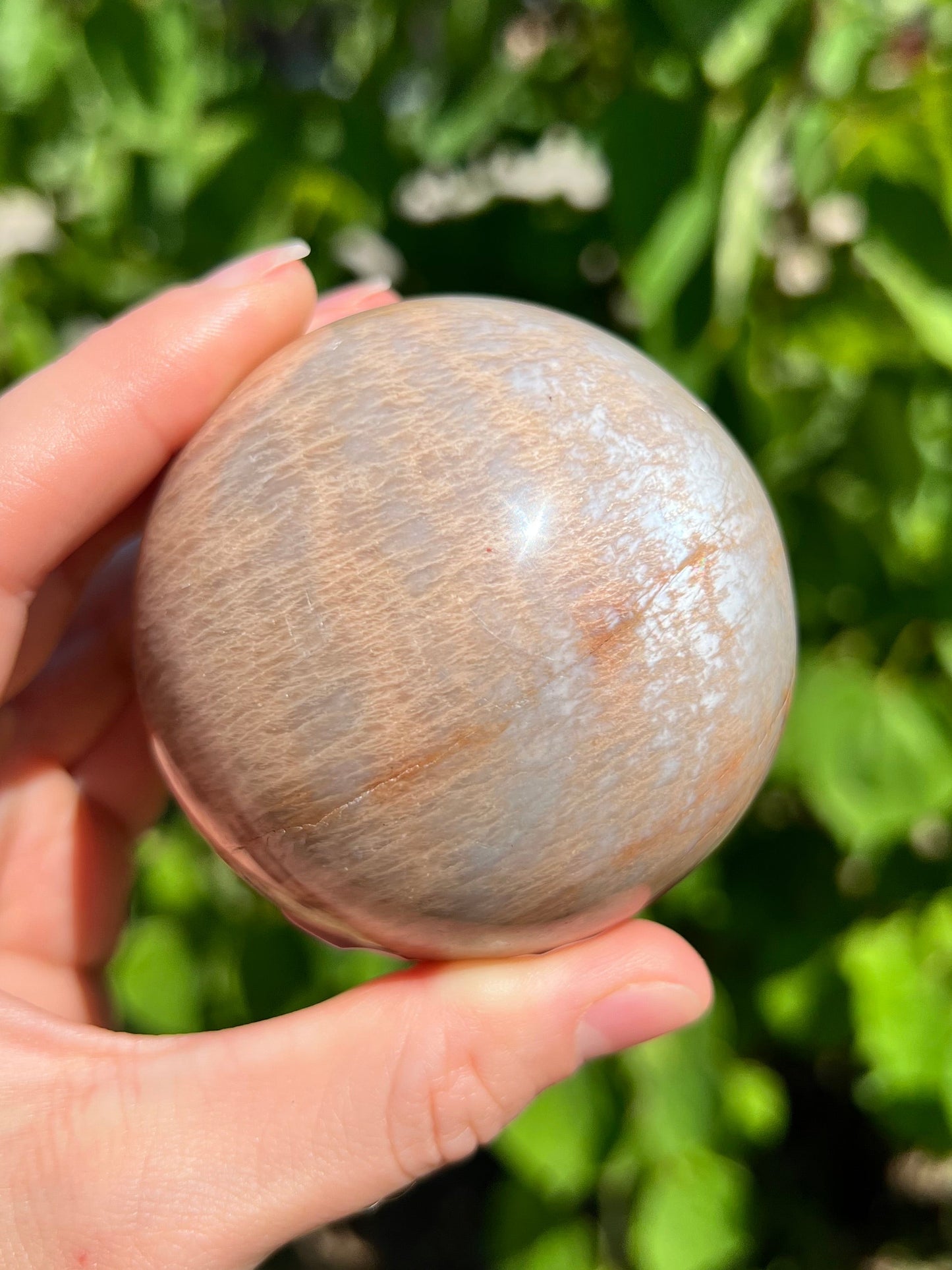 Peach Moonstone Spheres