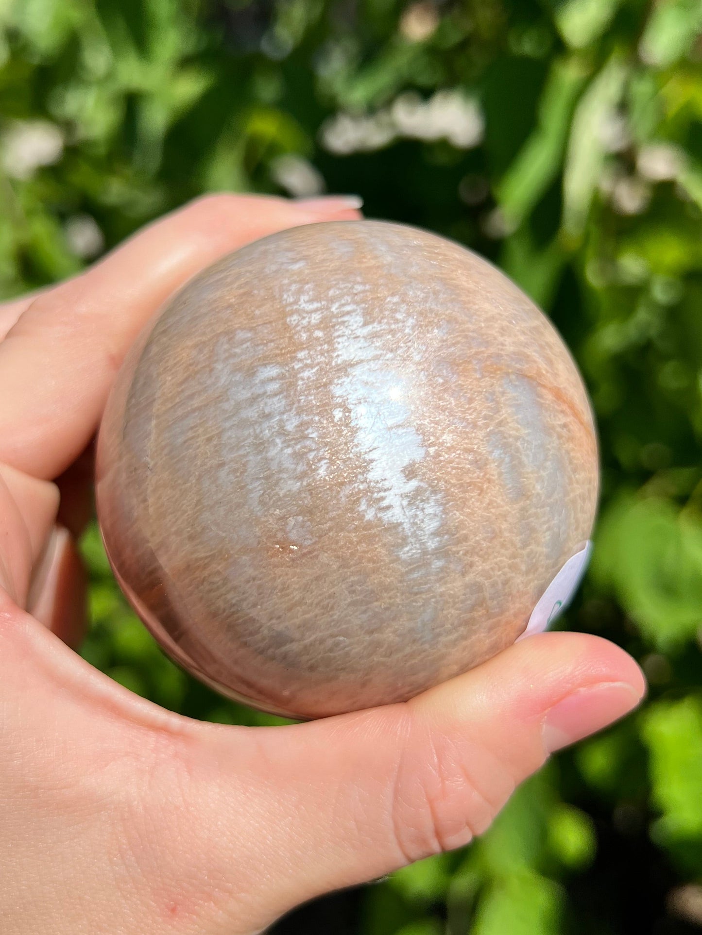 Peach Moonstone Spheres