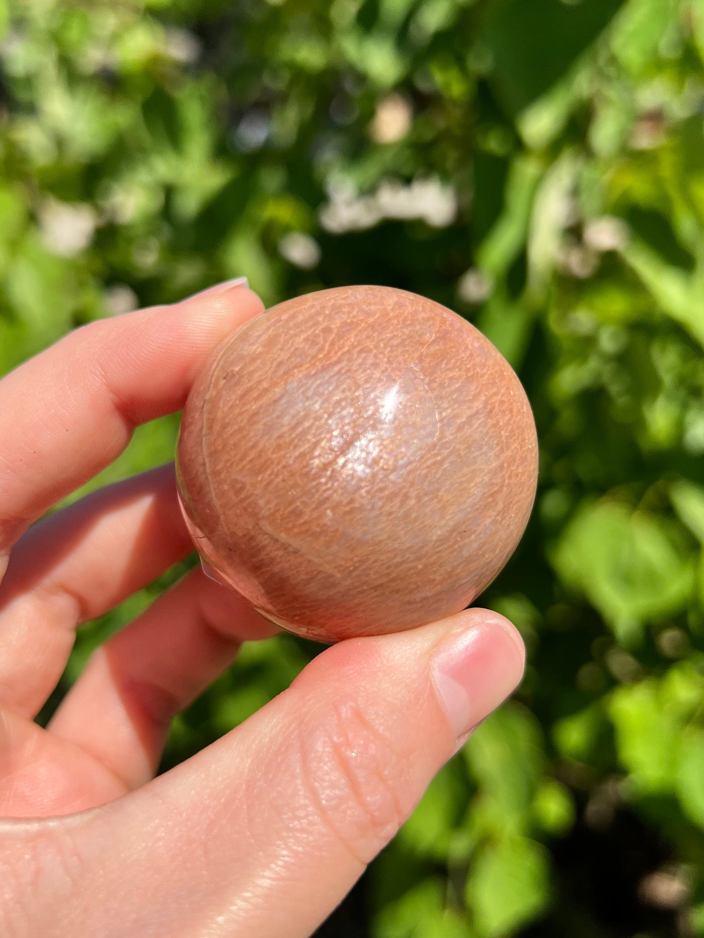 Peach Moonstone Spheres