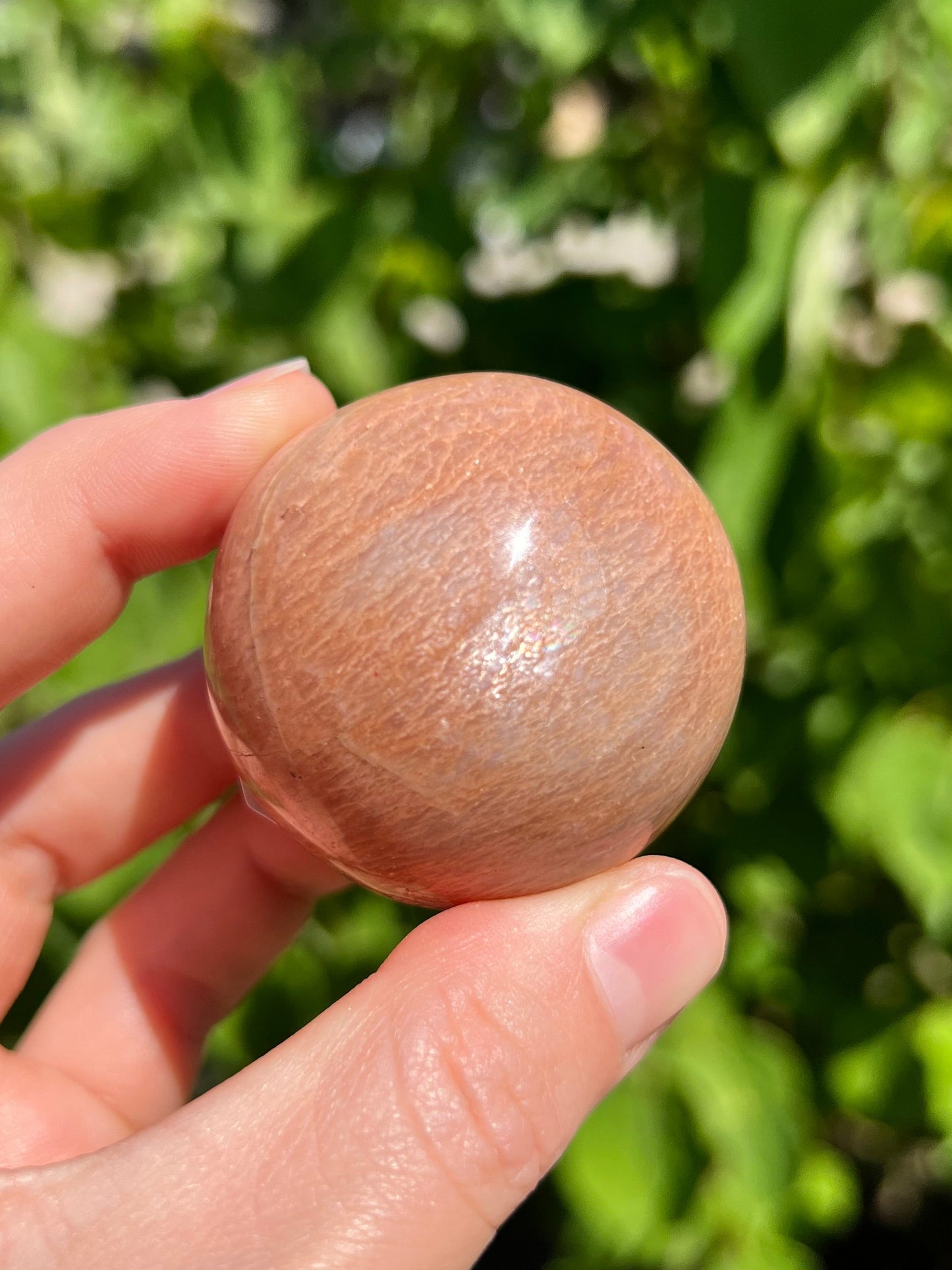 Peach Moonstone Spheres