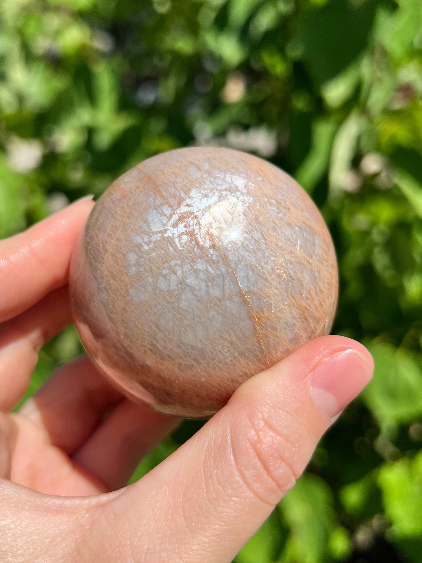 Peach Moonstone Spheres