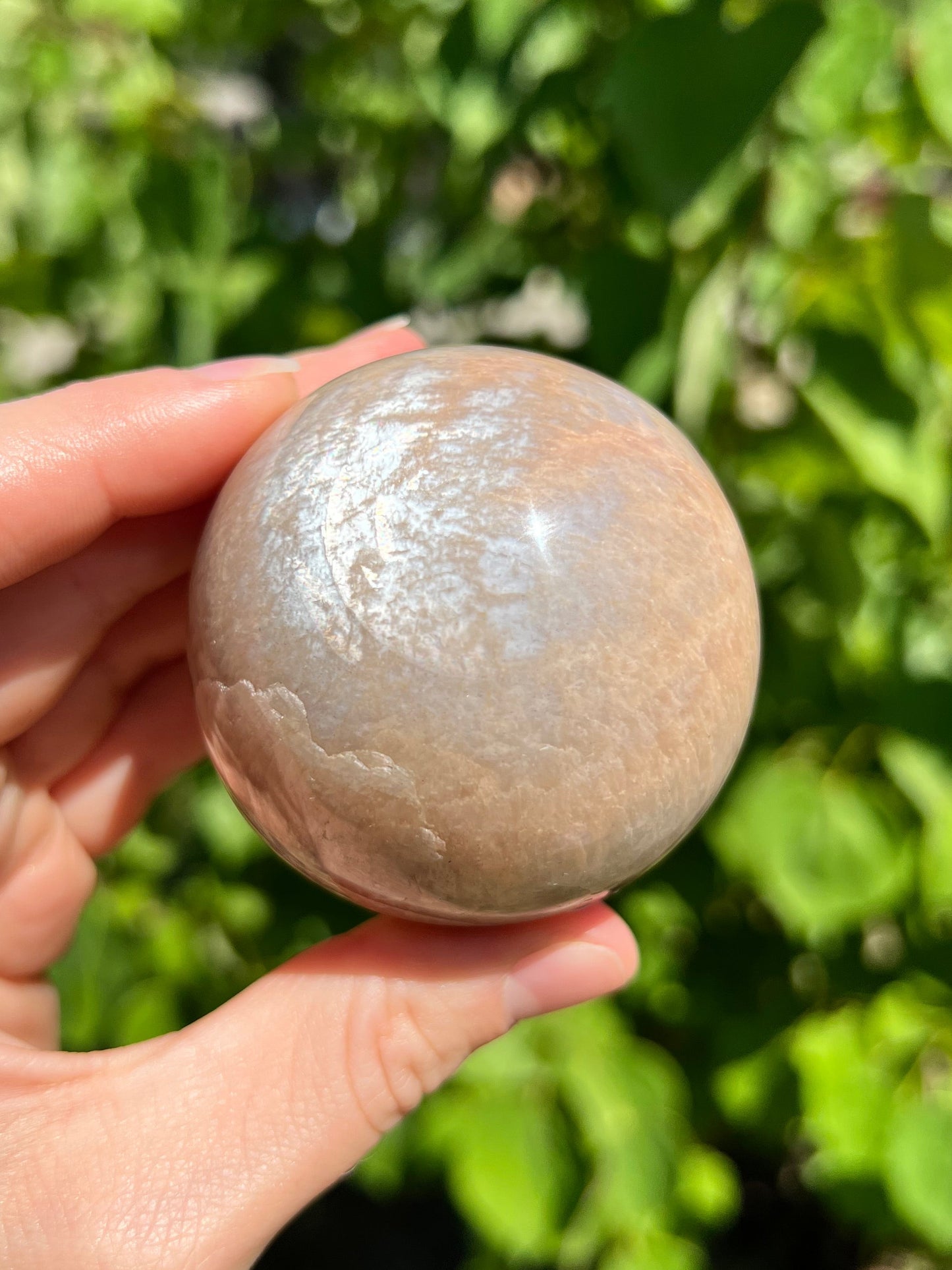 Peach Moonstone Spheres