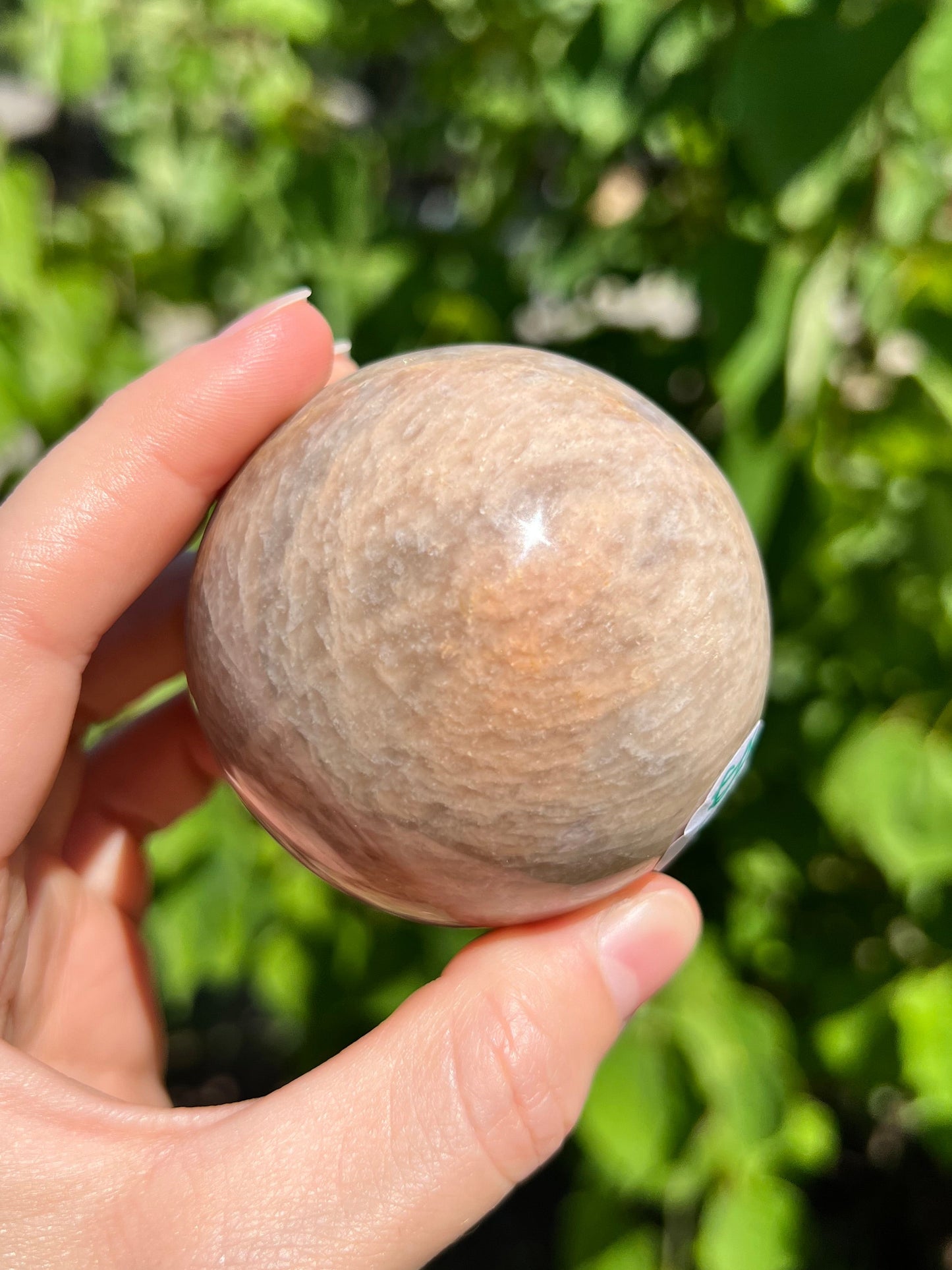 Peach Moonstone Spheres
