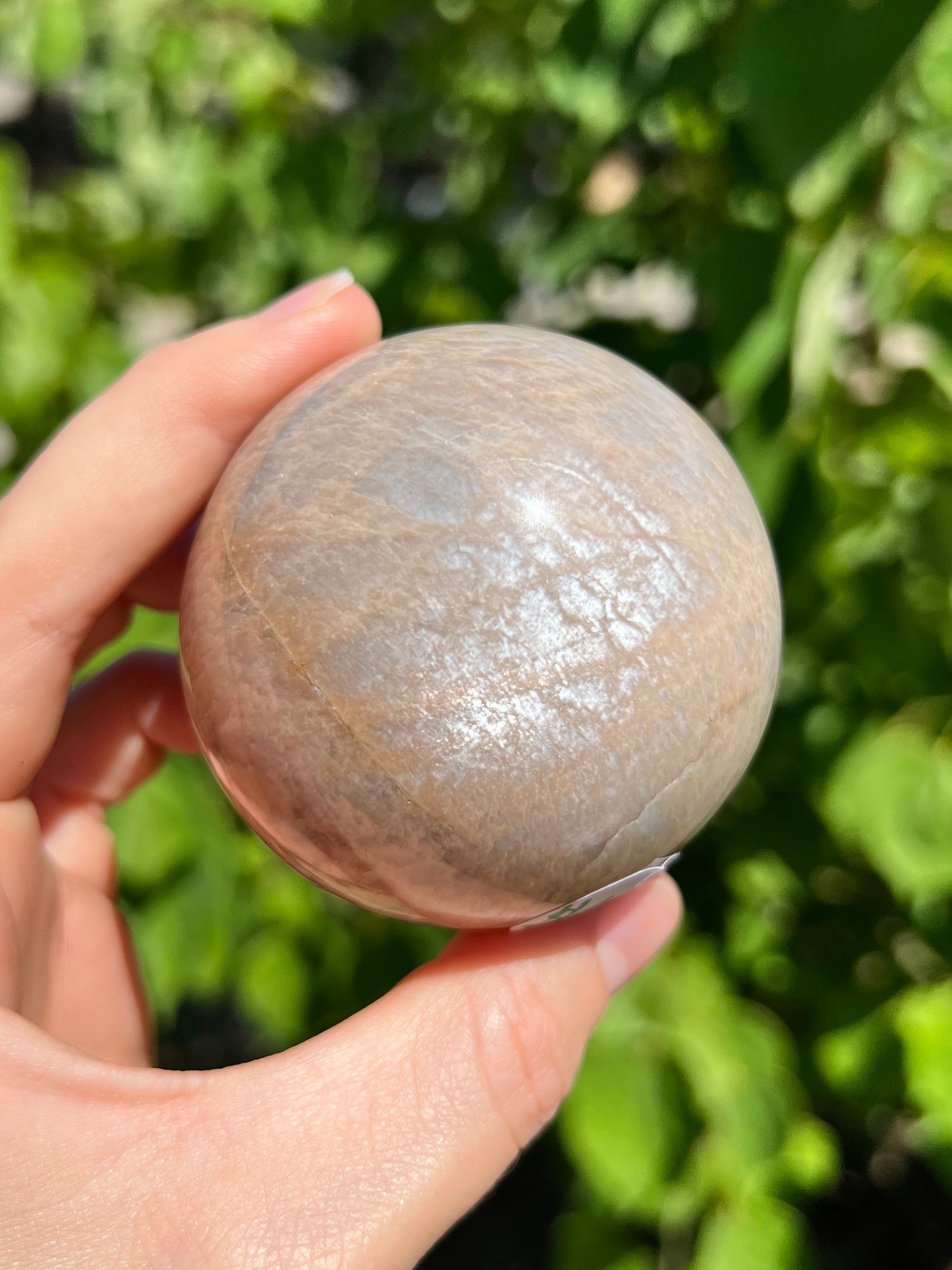 Peach Moonstone Spheres