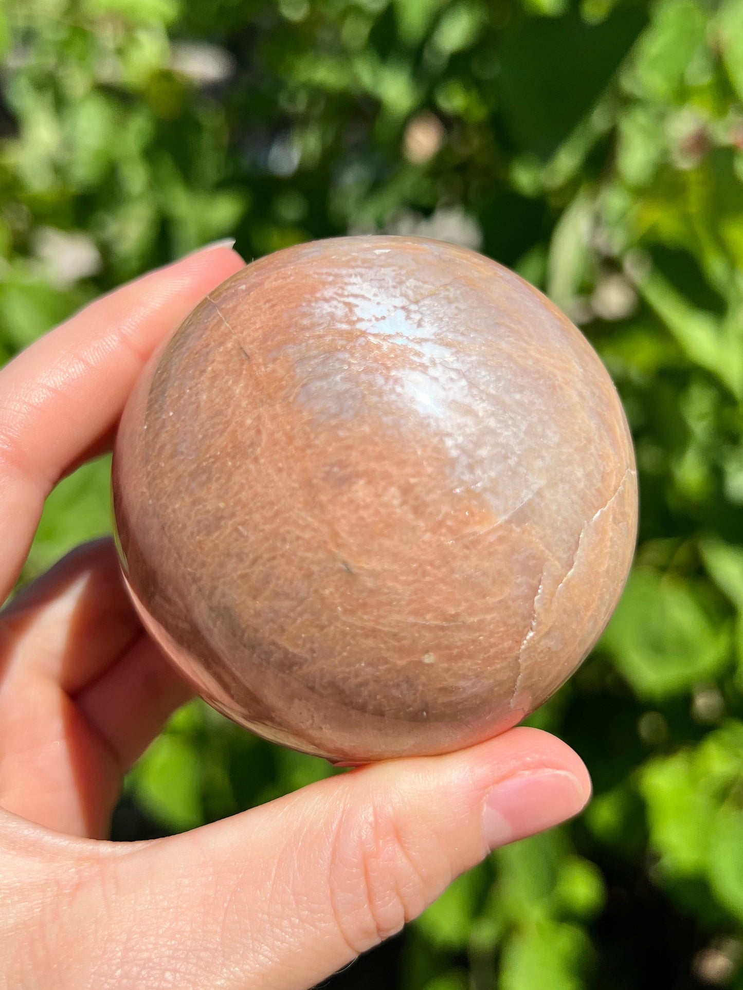 Peach Moonstone Spheres