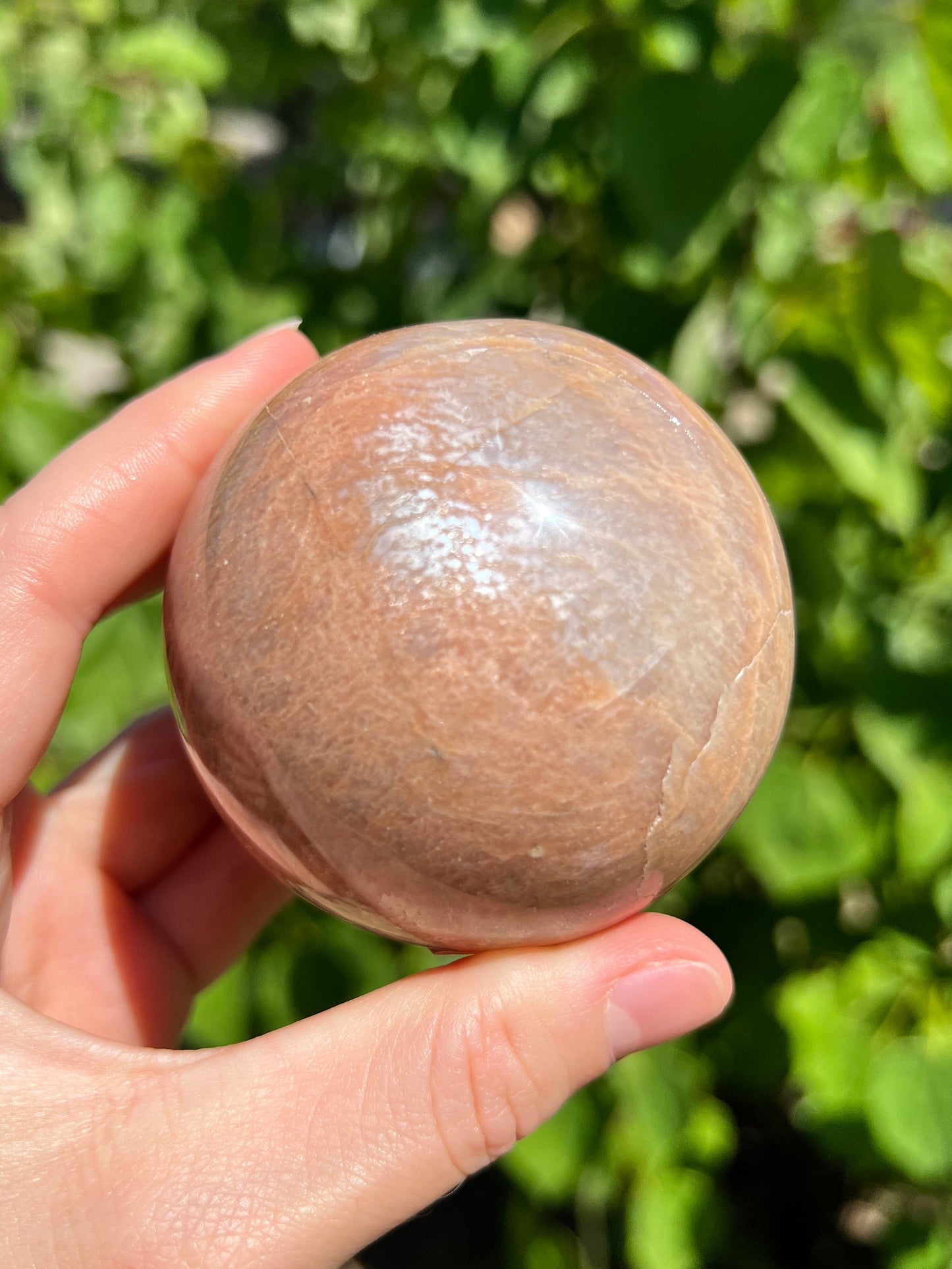 Peach Moonstone Spheres