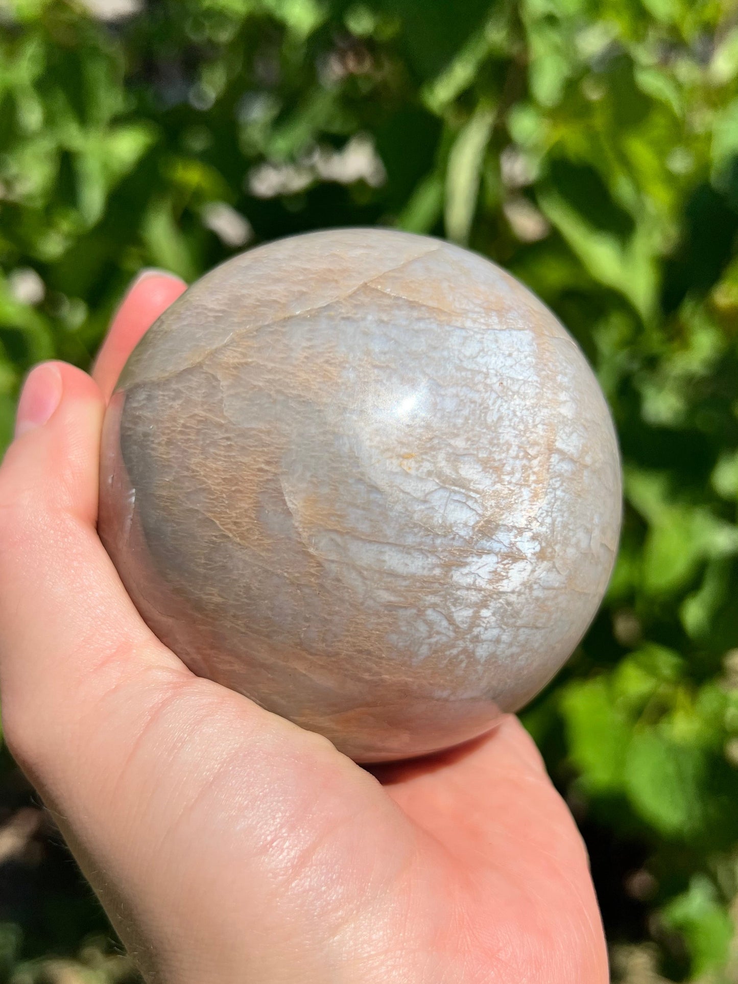 Peach Moonstone Spheres