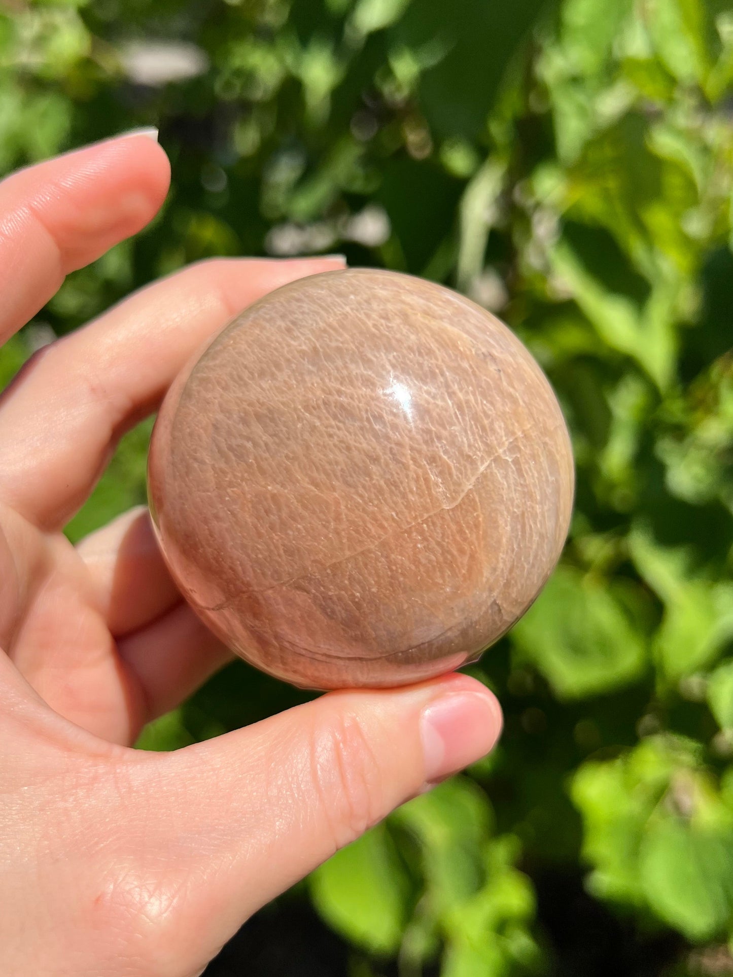 Peach Moonstone Spheres