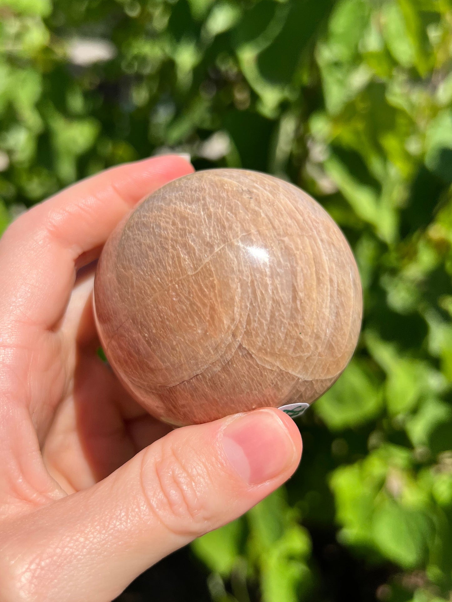 Peach Moonstone Spheres