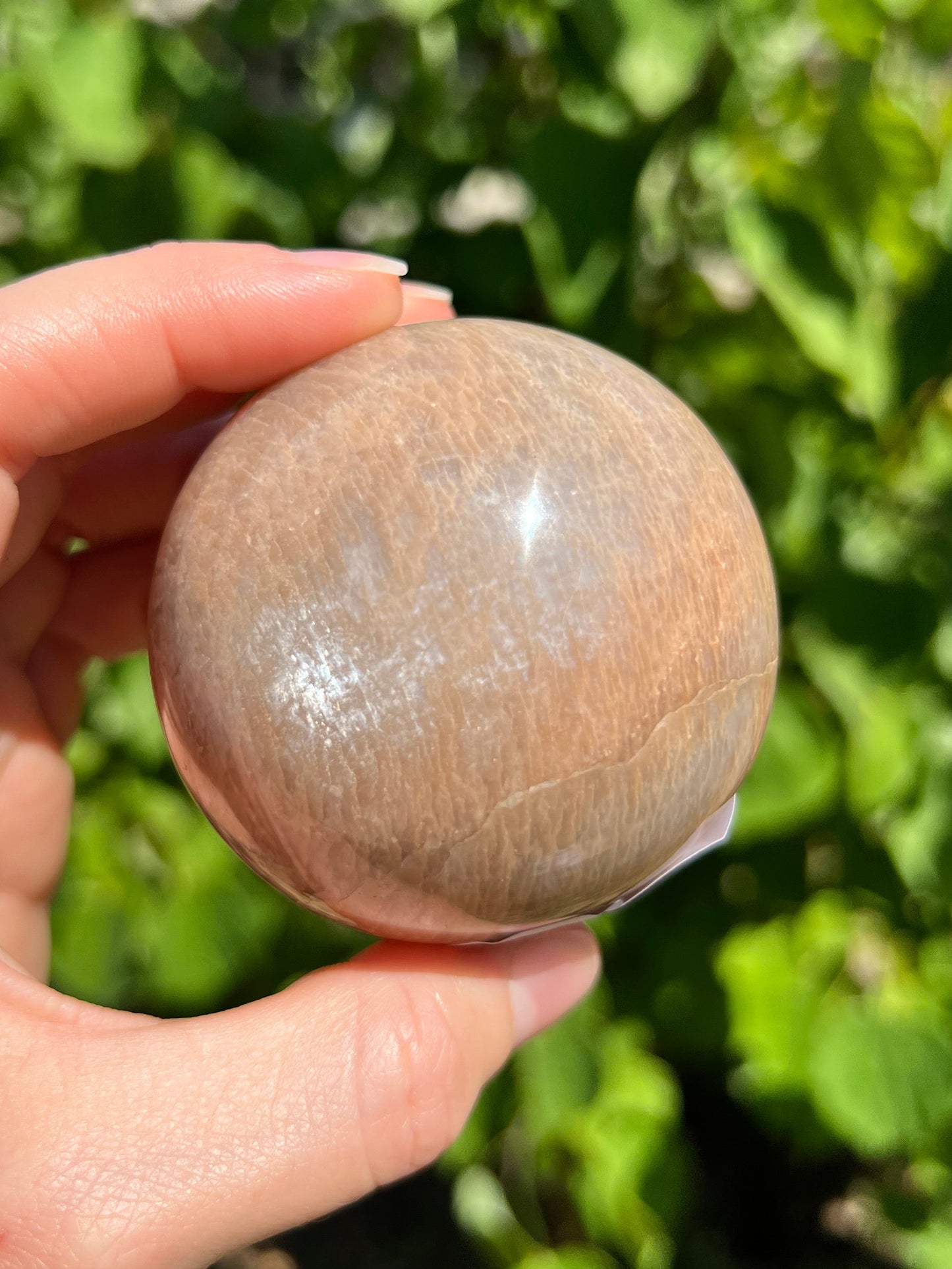 Peach Moonstone Spheres