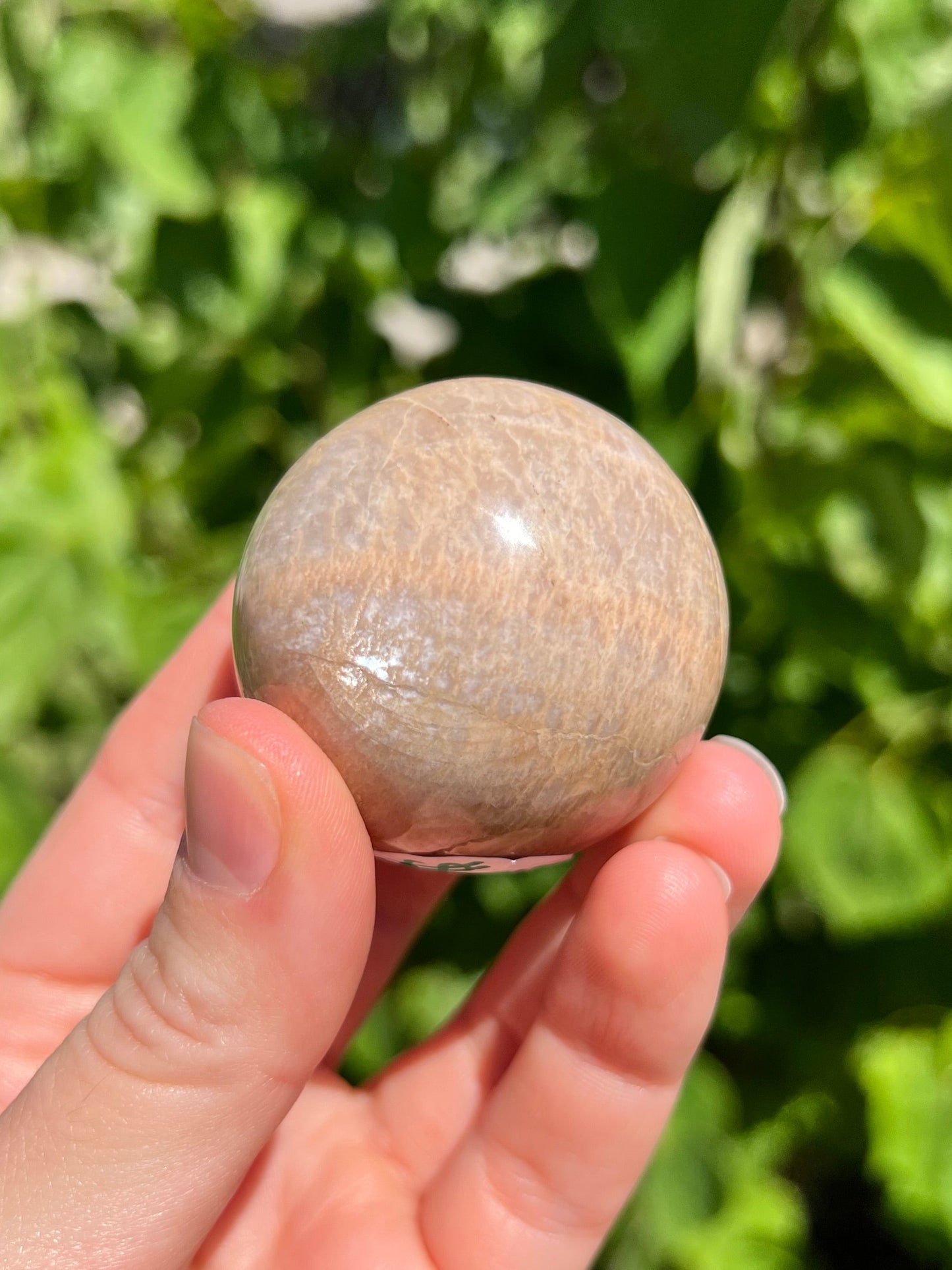 Peach Moonstone Spheres