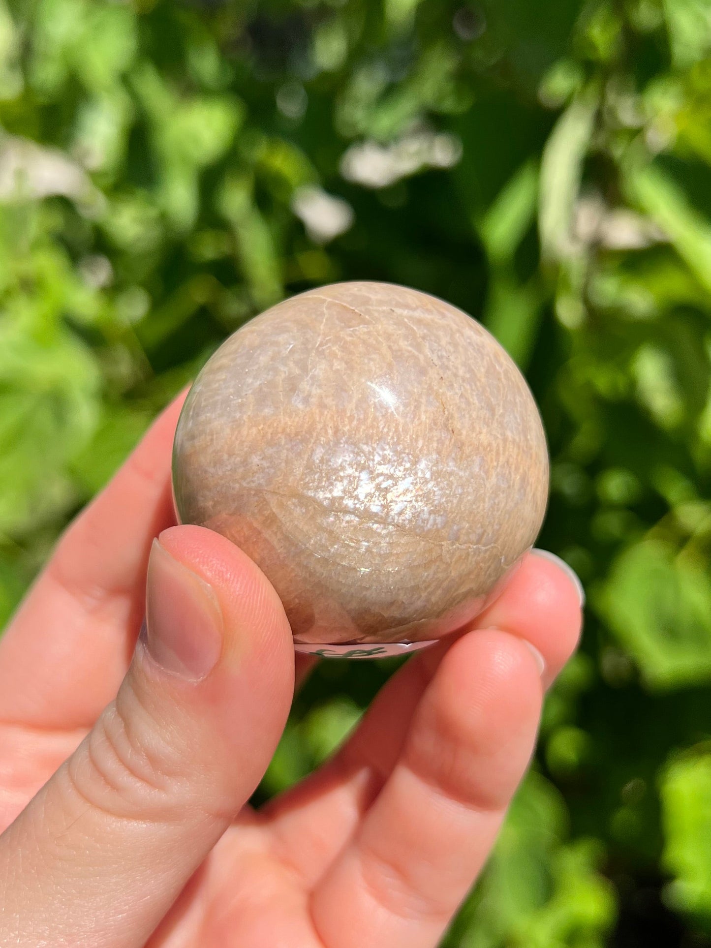 Peach Moonstone Spheres