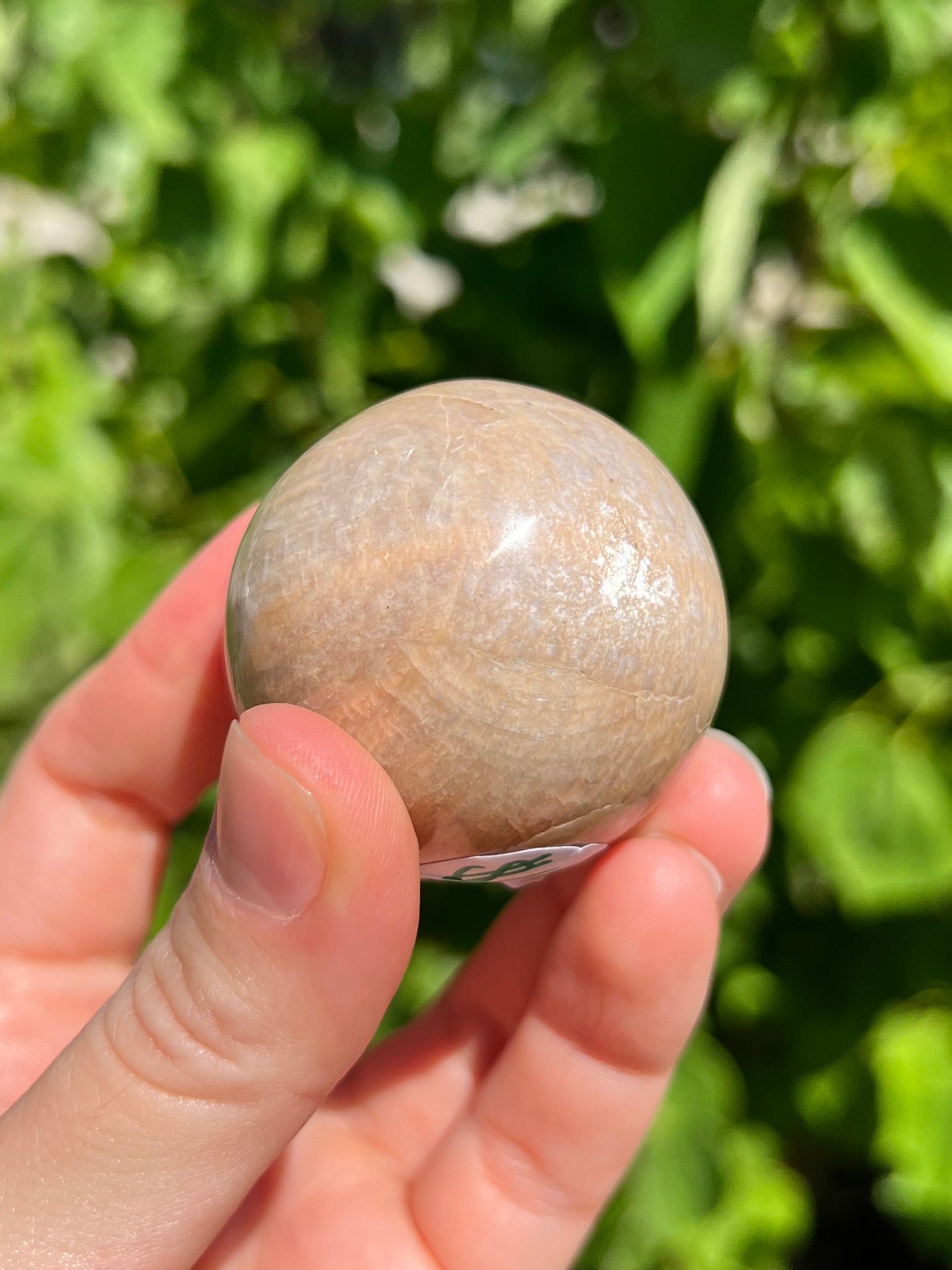 Peach Moonstone Spheres