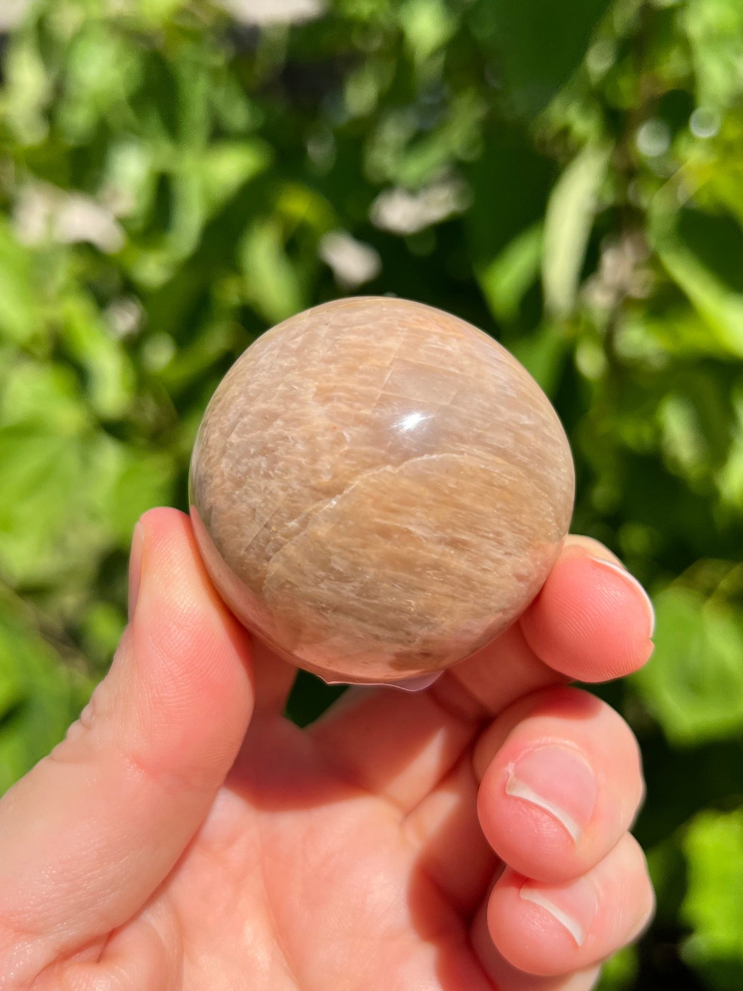 Peach Moonstone Spheres