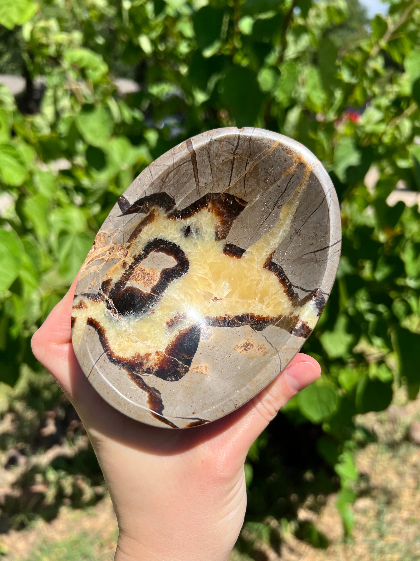 Septarian Bowl
