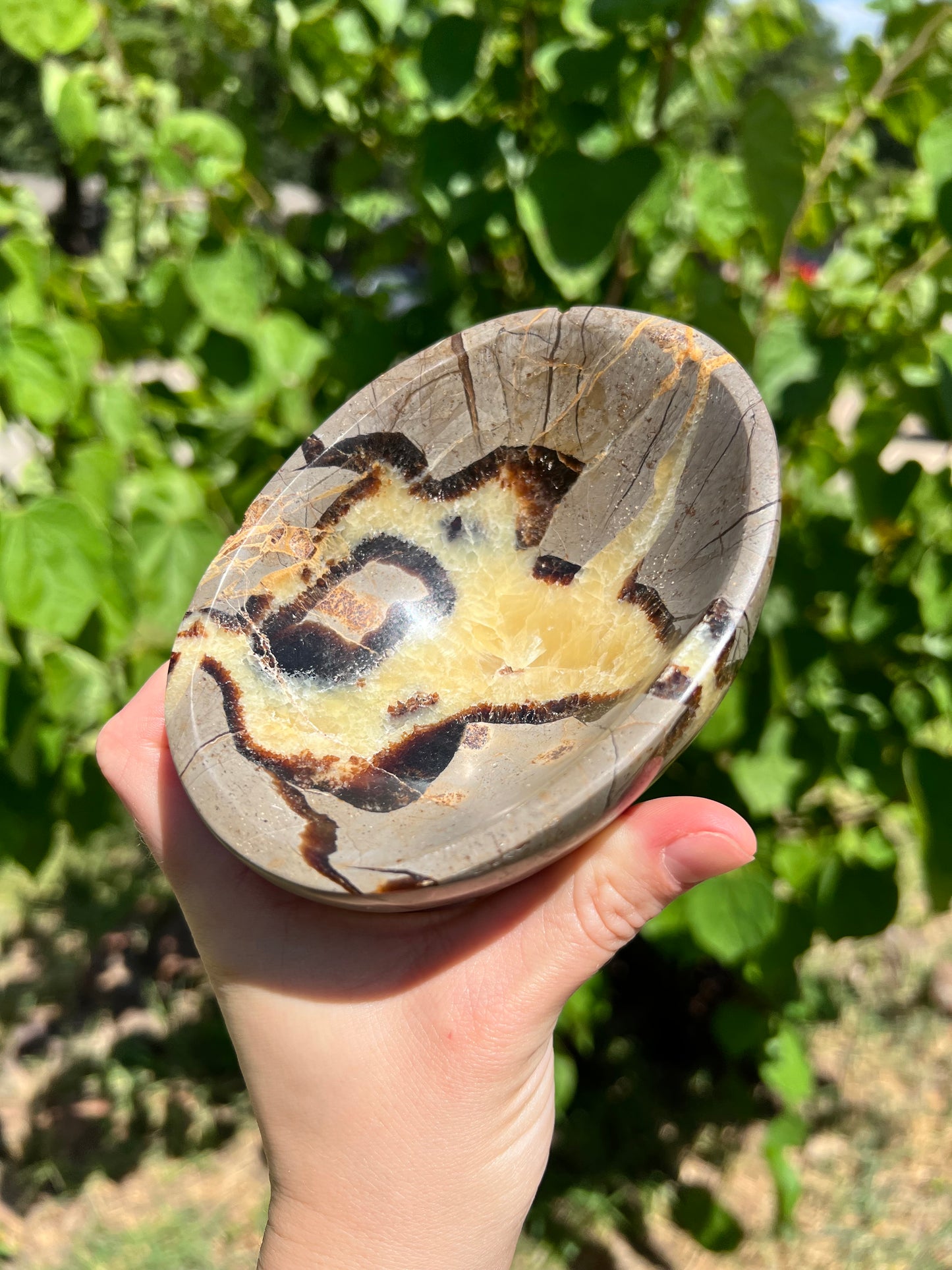 Septarian Bowl