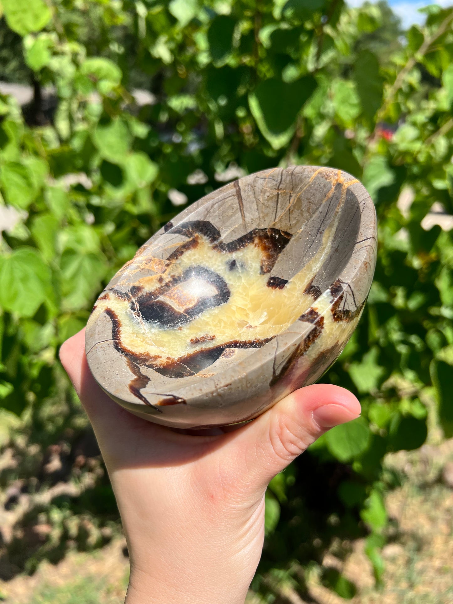Septarian Bowl