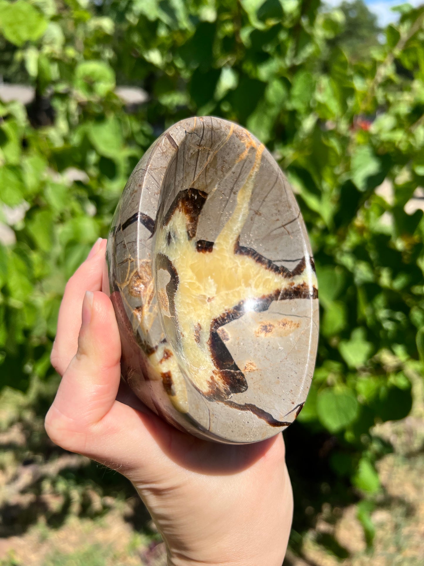Septarian Bowl