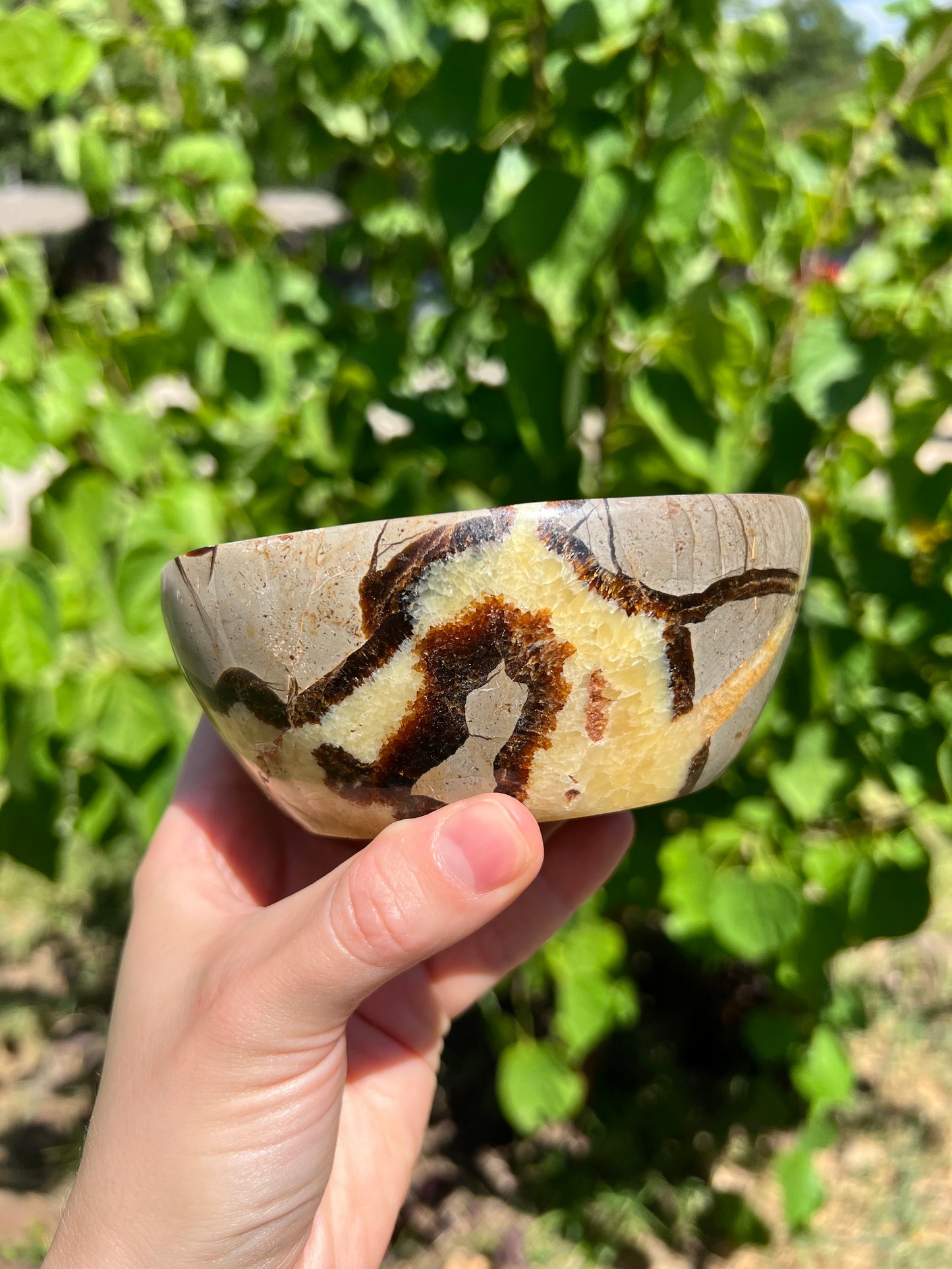 Septarian Bowl