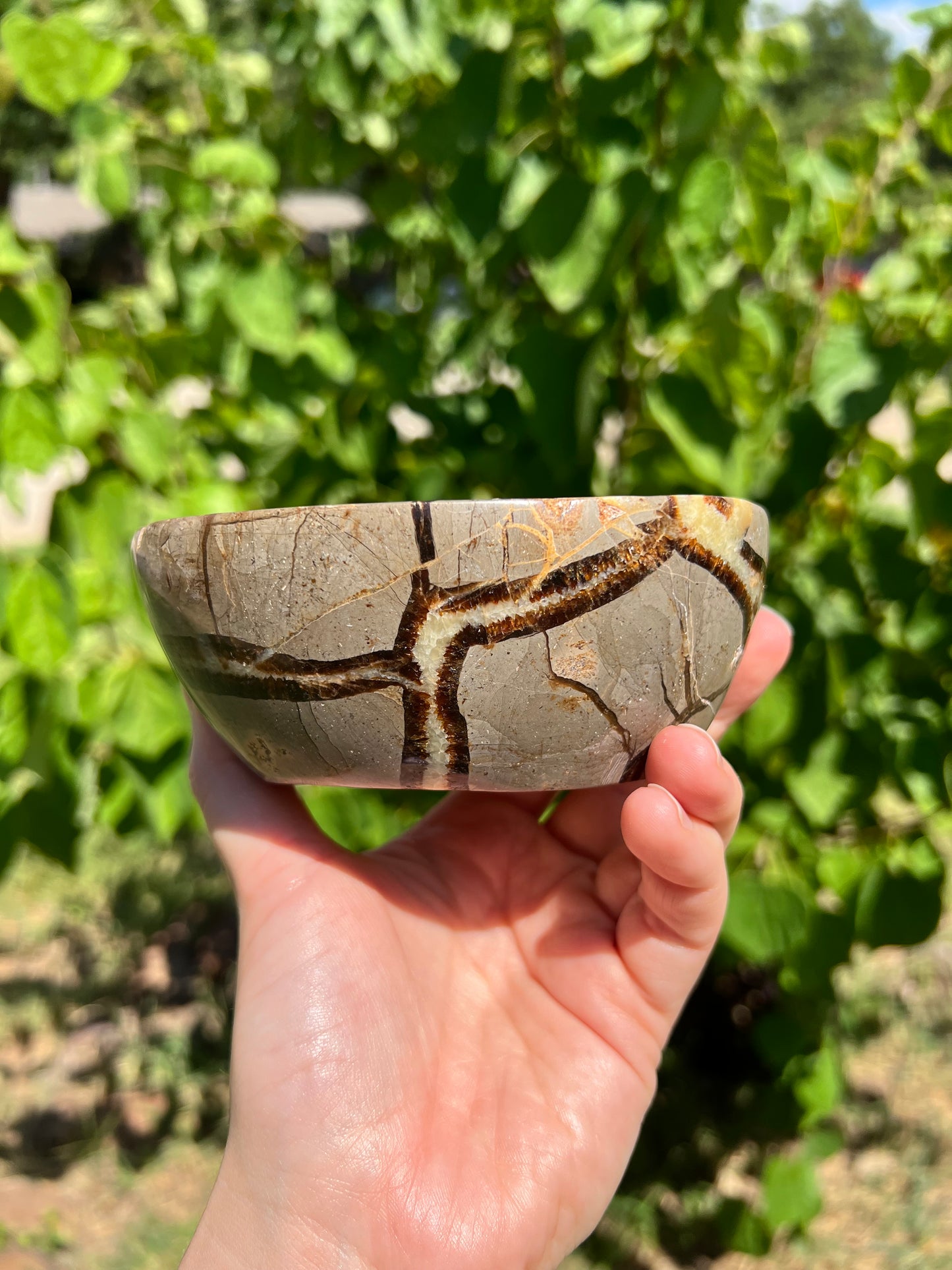 Septarian Bowl