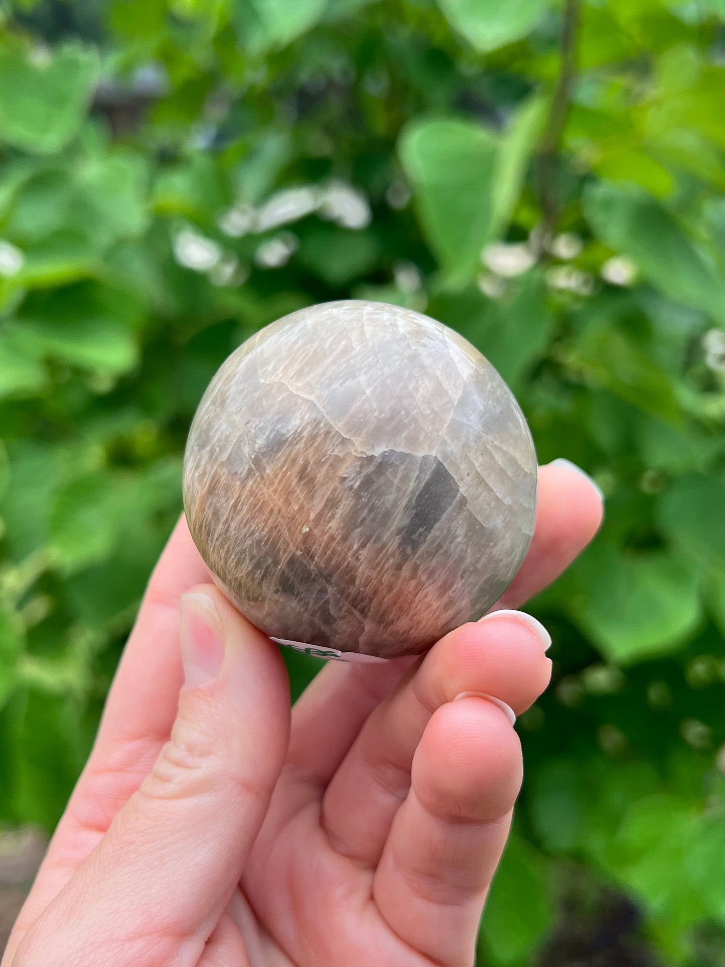 Peach Moonstone Spheres
