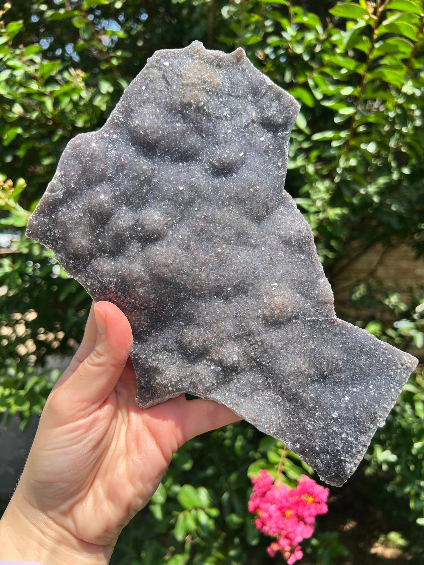 沸石自由形态