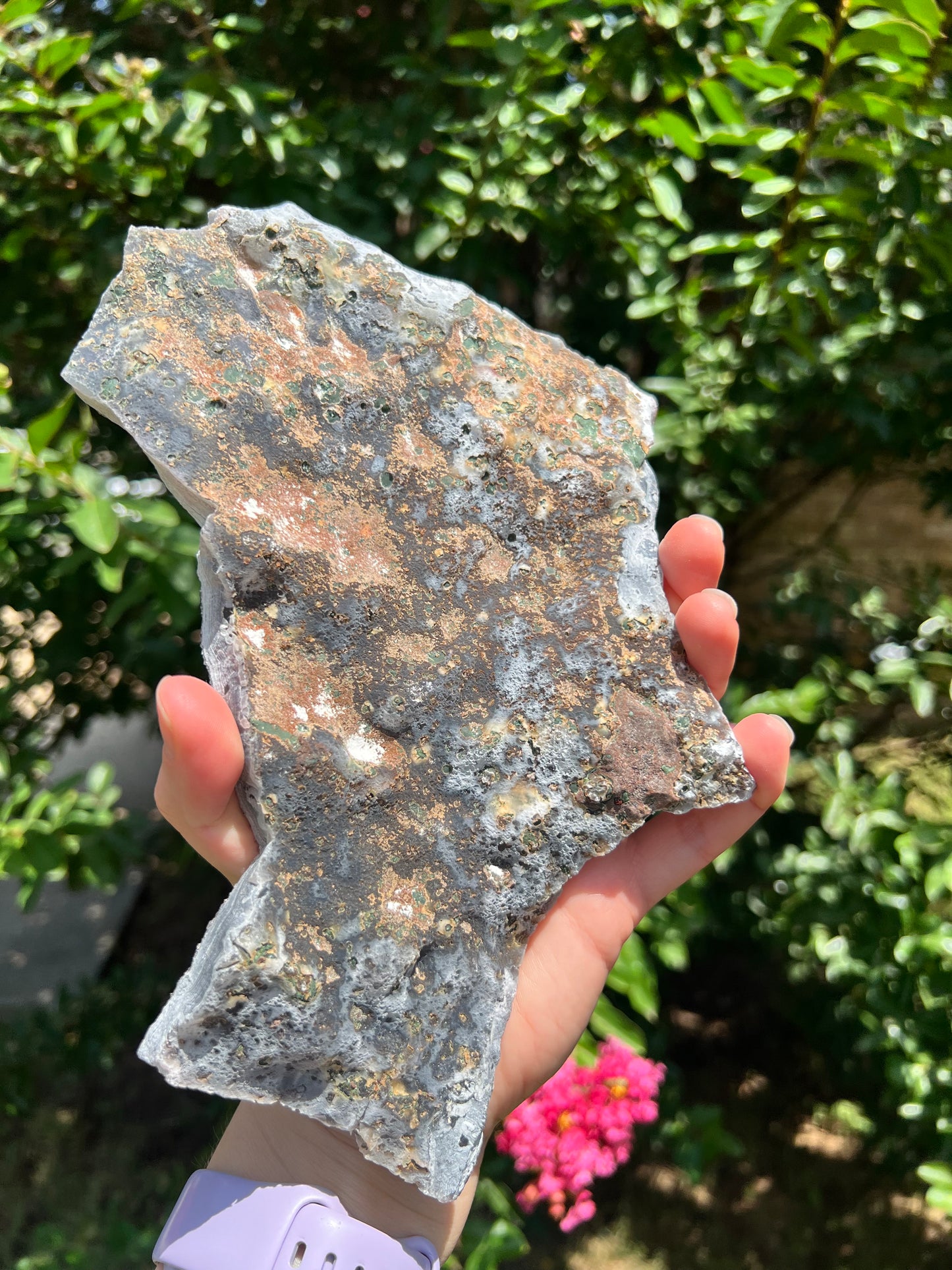沸石自由形态