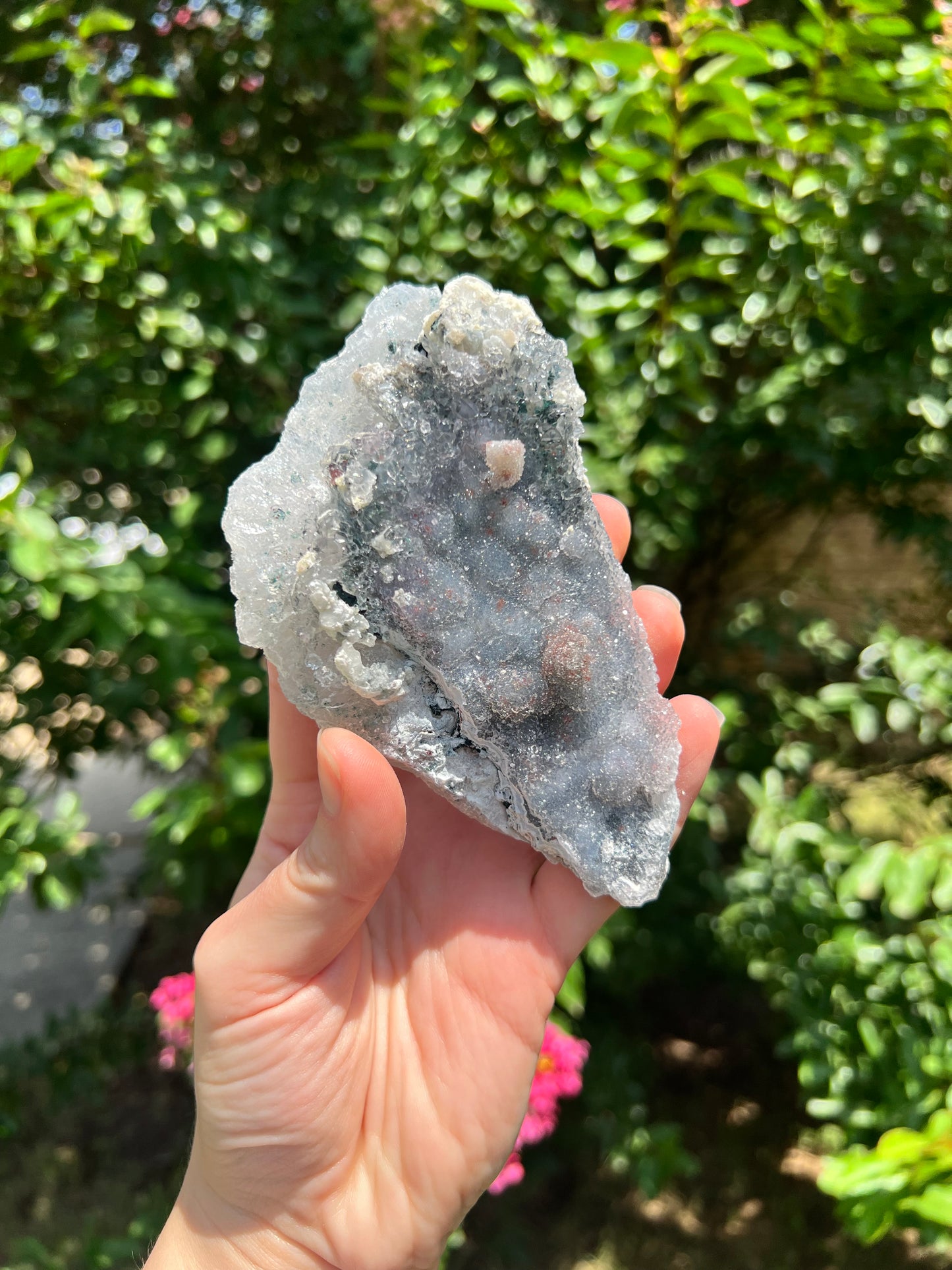 沸石自由形态