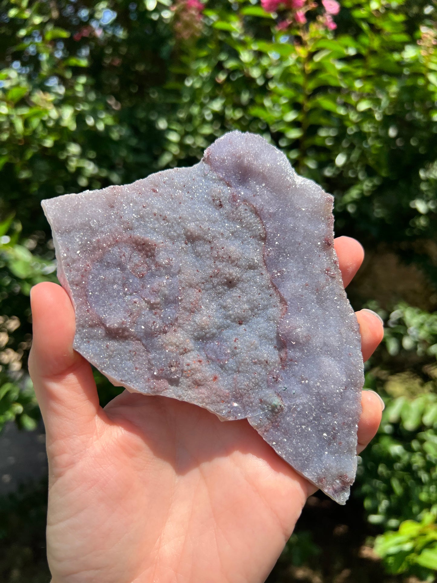 沸石自由形态
