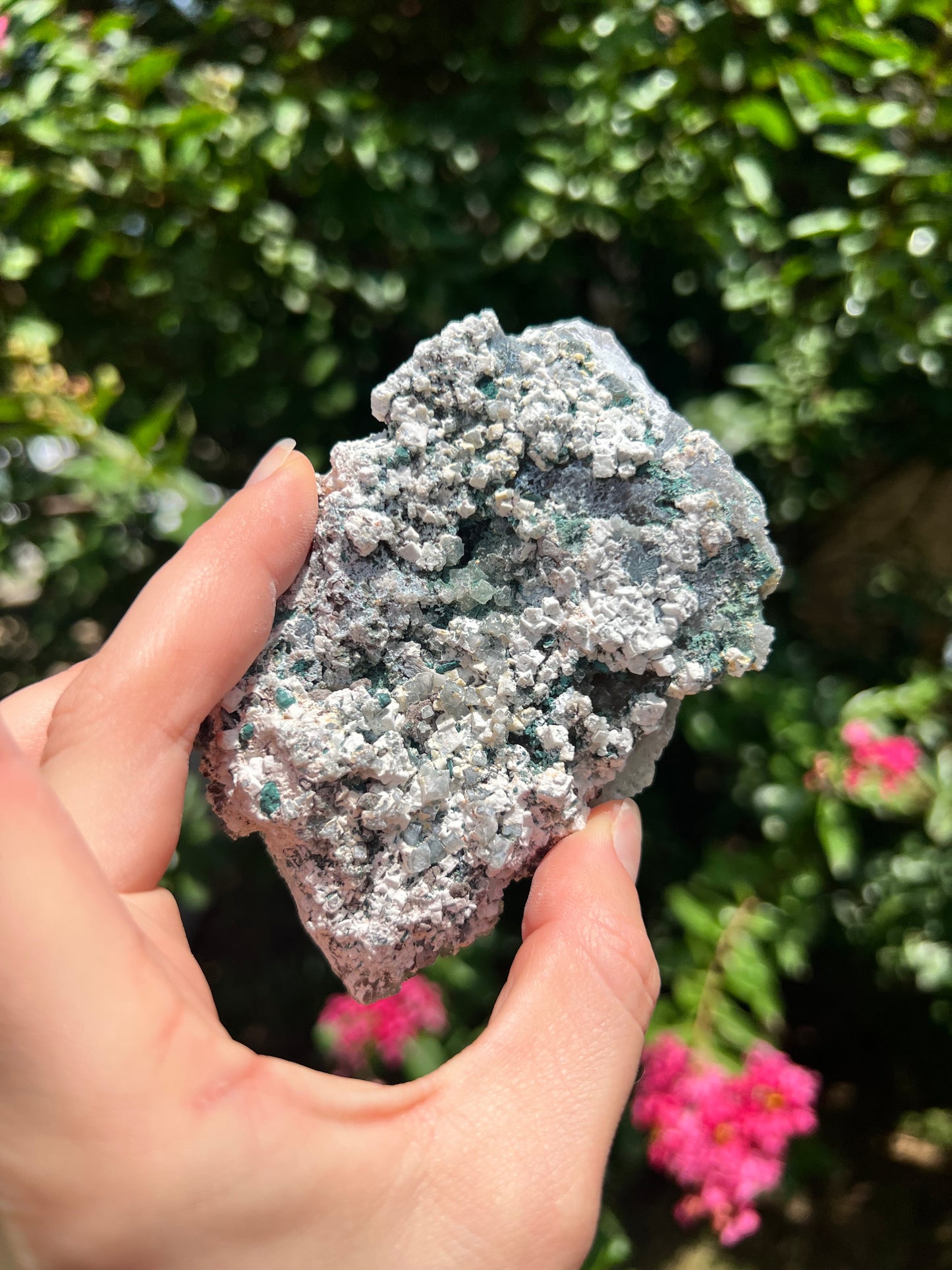 沸石自由形态