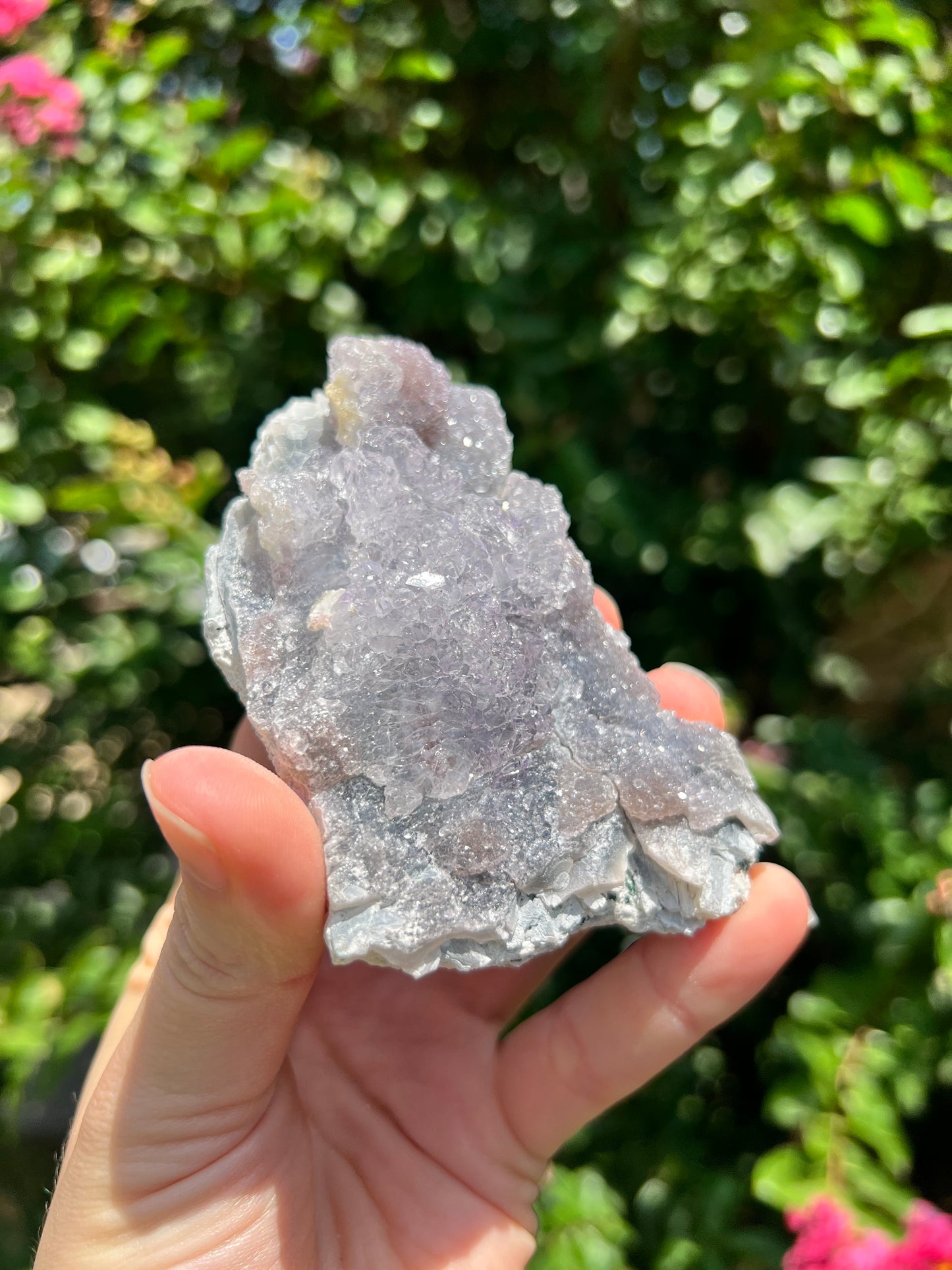 沸石自由形态