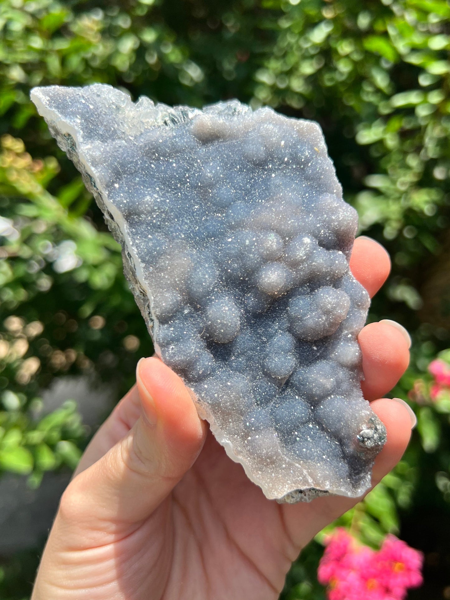 沸石自由形态