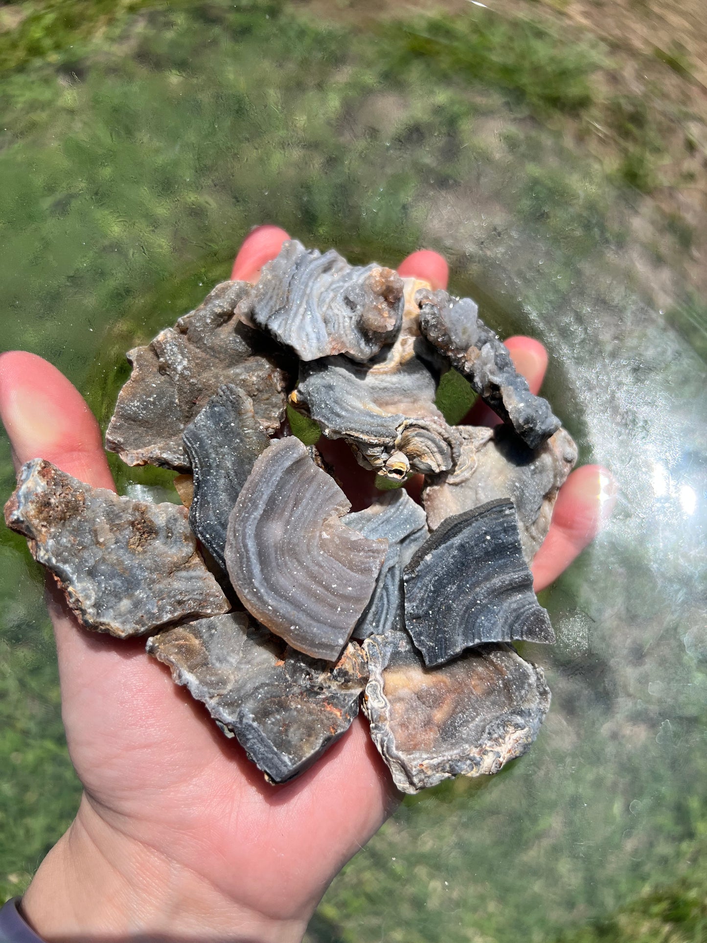 Chalcedony Specimens